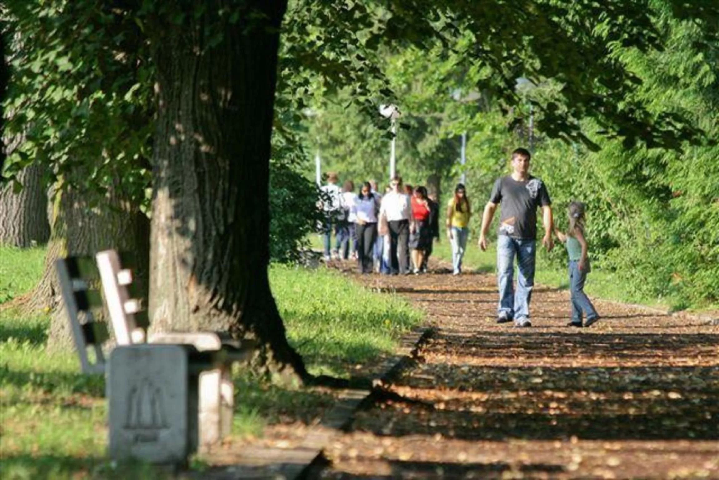 Natural landscape in Ensana Esplanade