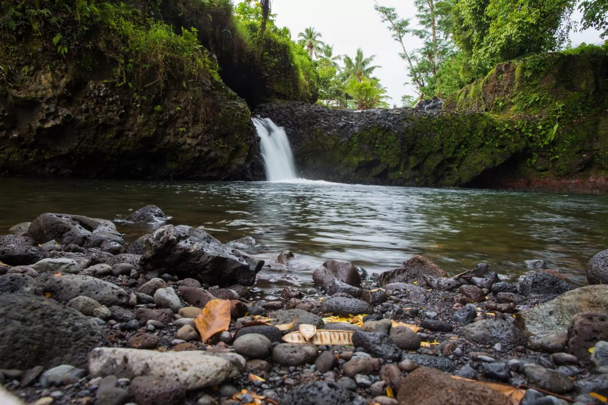 Hiking in Lynn's Getaway Hotel