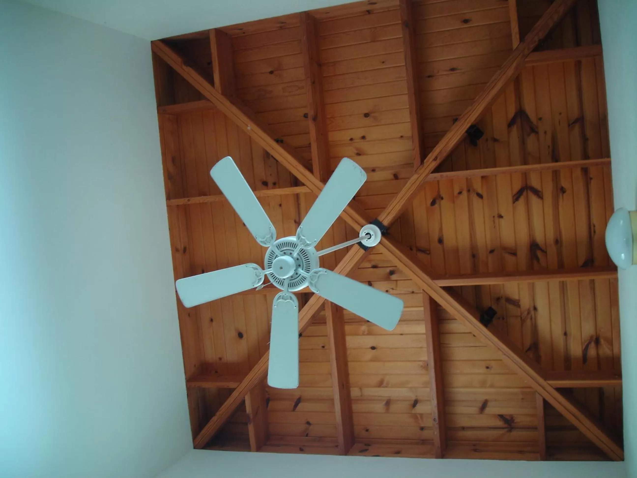 Decorative detail in The Dublin House Motel