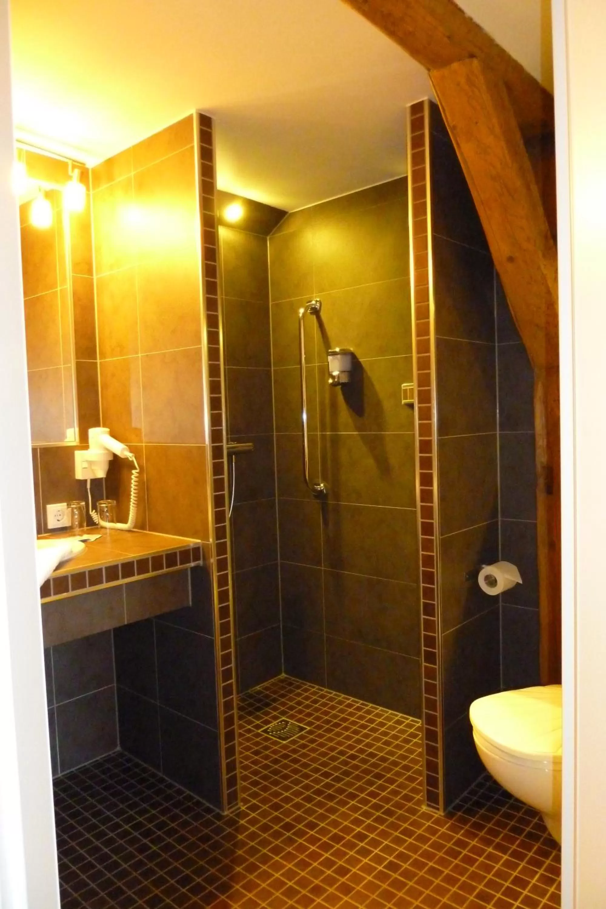 Shower in Hotel Goldener Stern