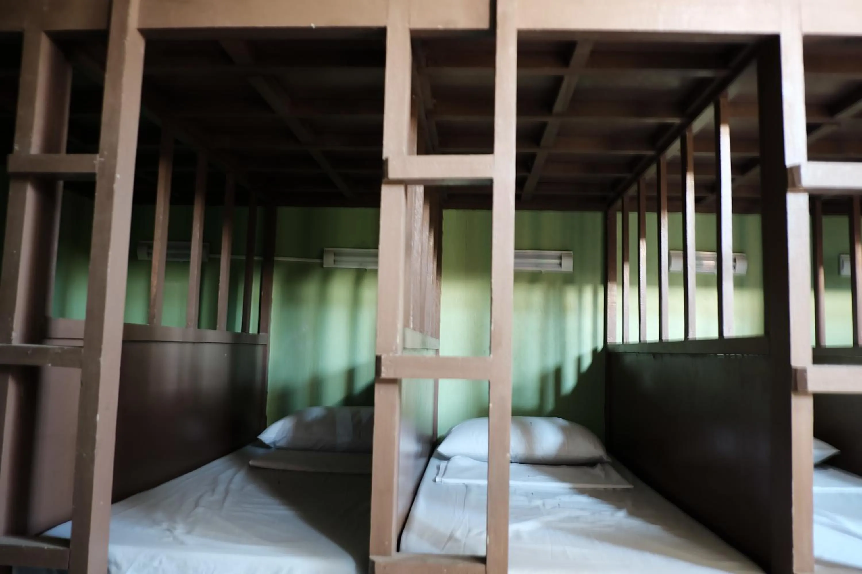 bunk bed, Bed in Malapascua Budget Inn MBI DIVE CENTER