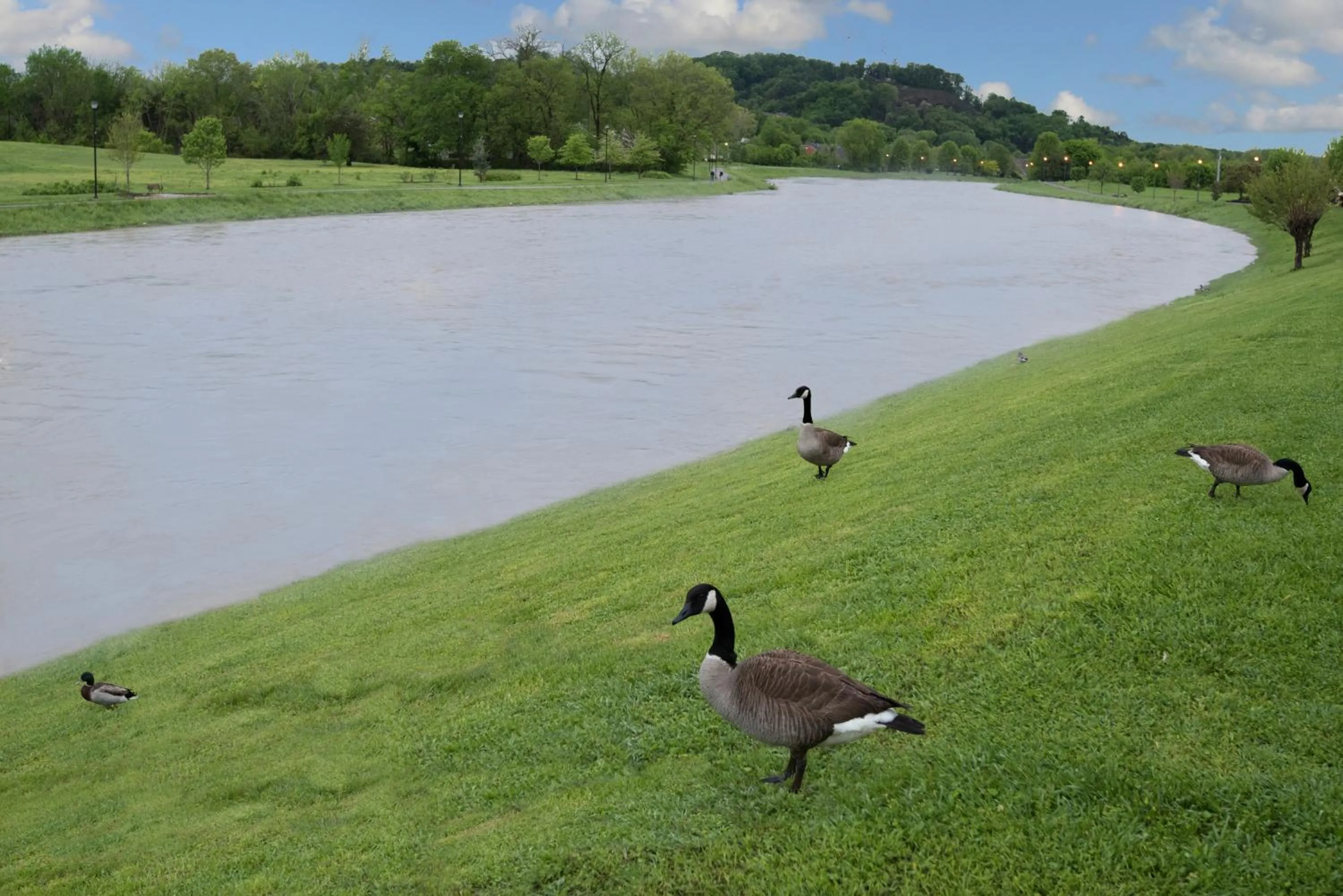 River view in Econo Lodge Sevierville-Pigeon Forge on the River