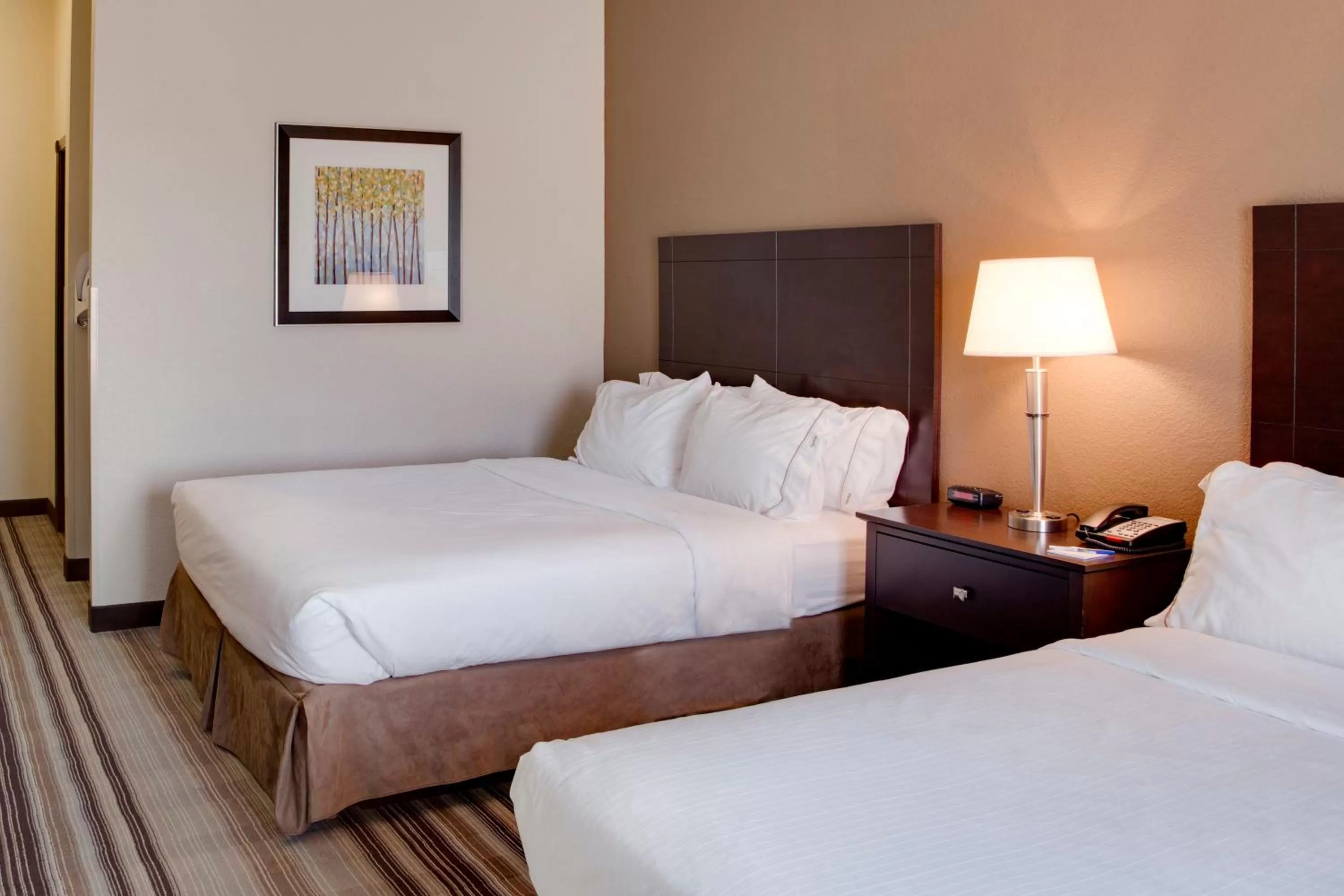 Photo of the whole room, Bed in Holiday Inn Express & Suites Nevada by IHG