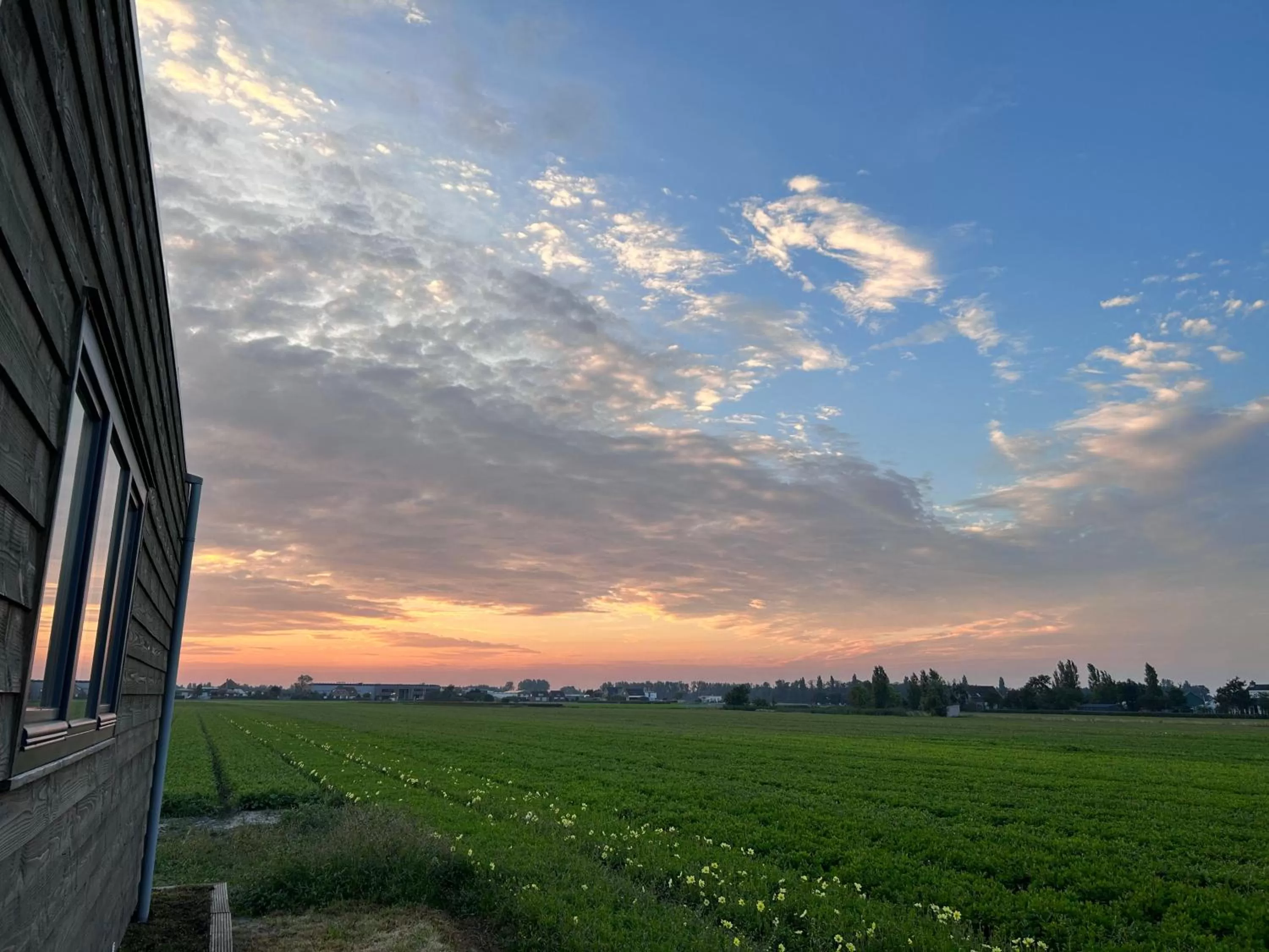 Natural landscape in Blossombed