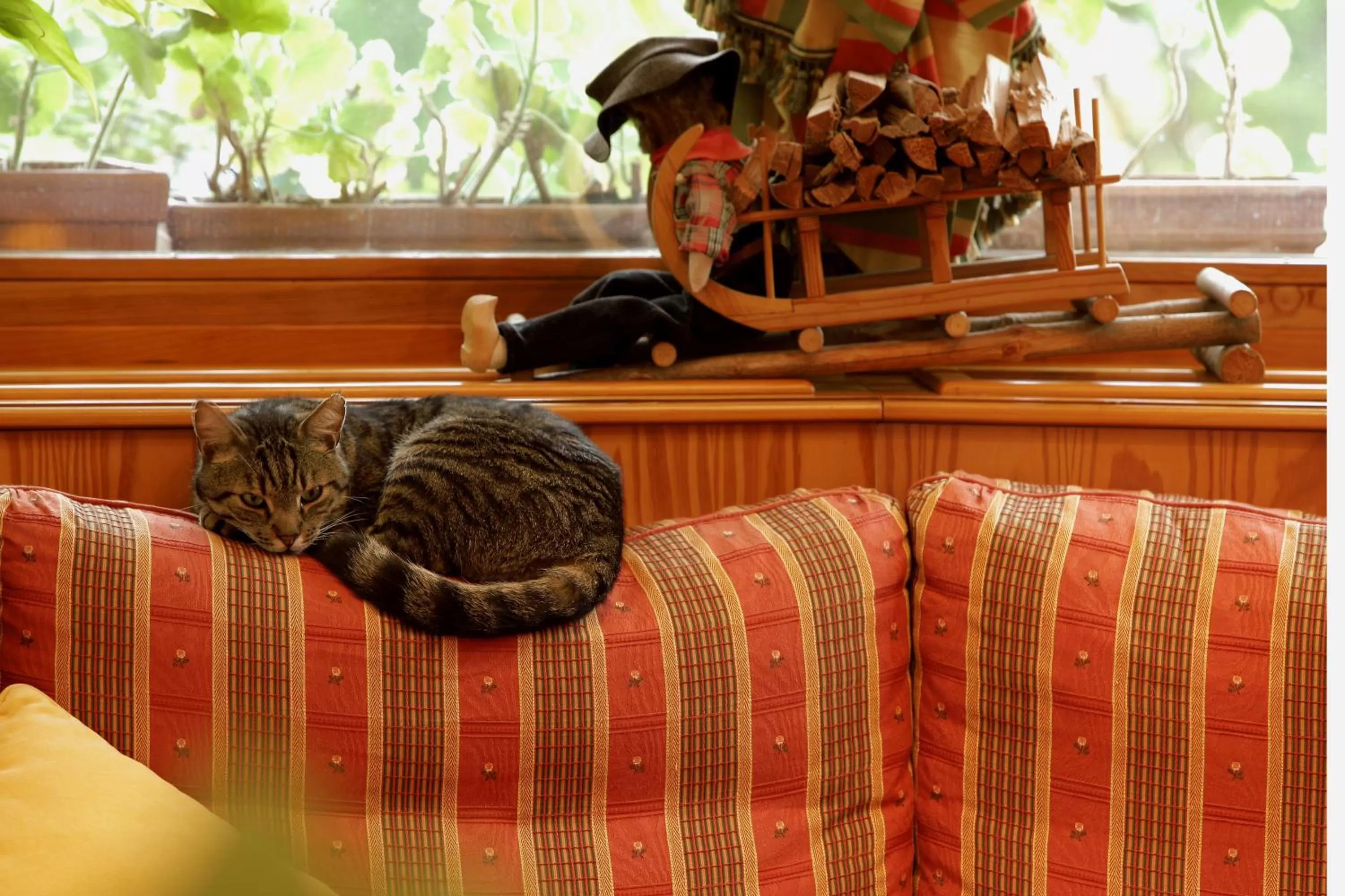 Other in Les Loges Du Parc