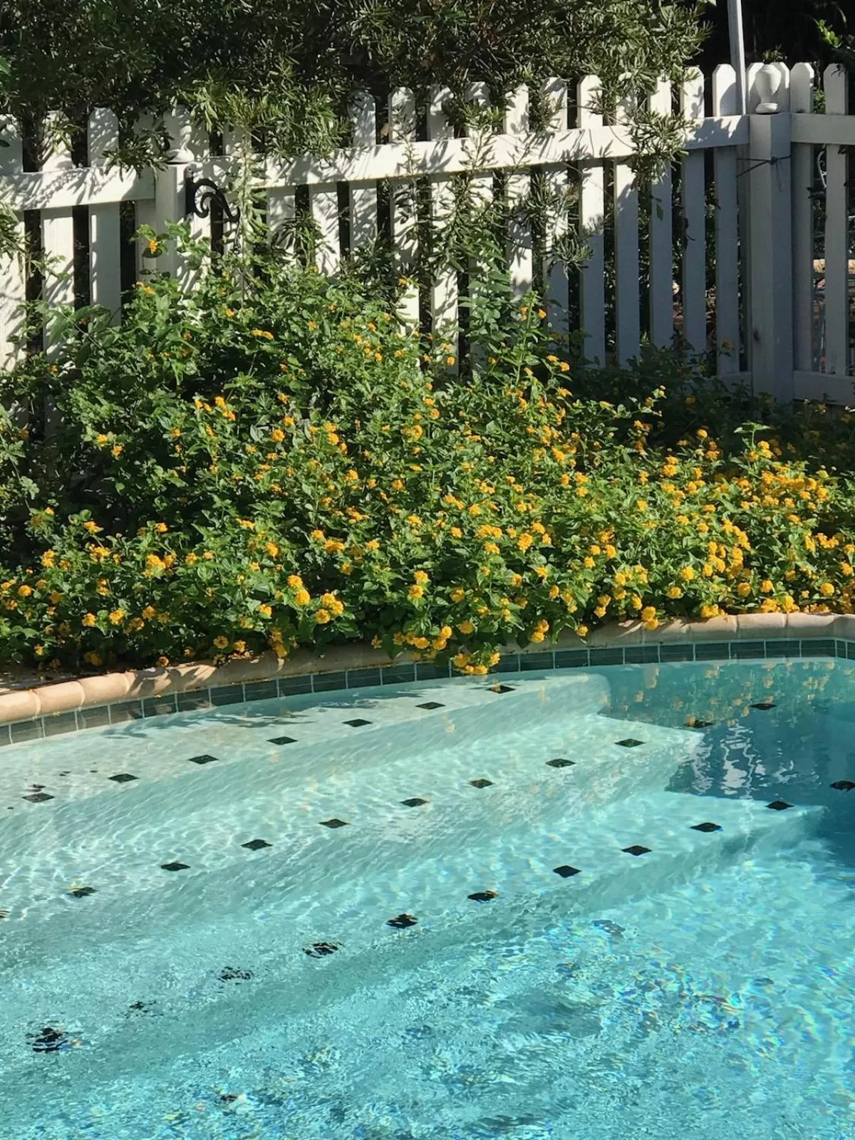 Swimming pool in The Plantation House Boutique Inn