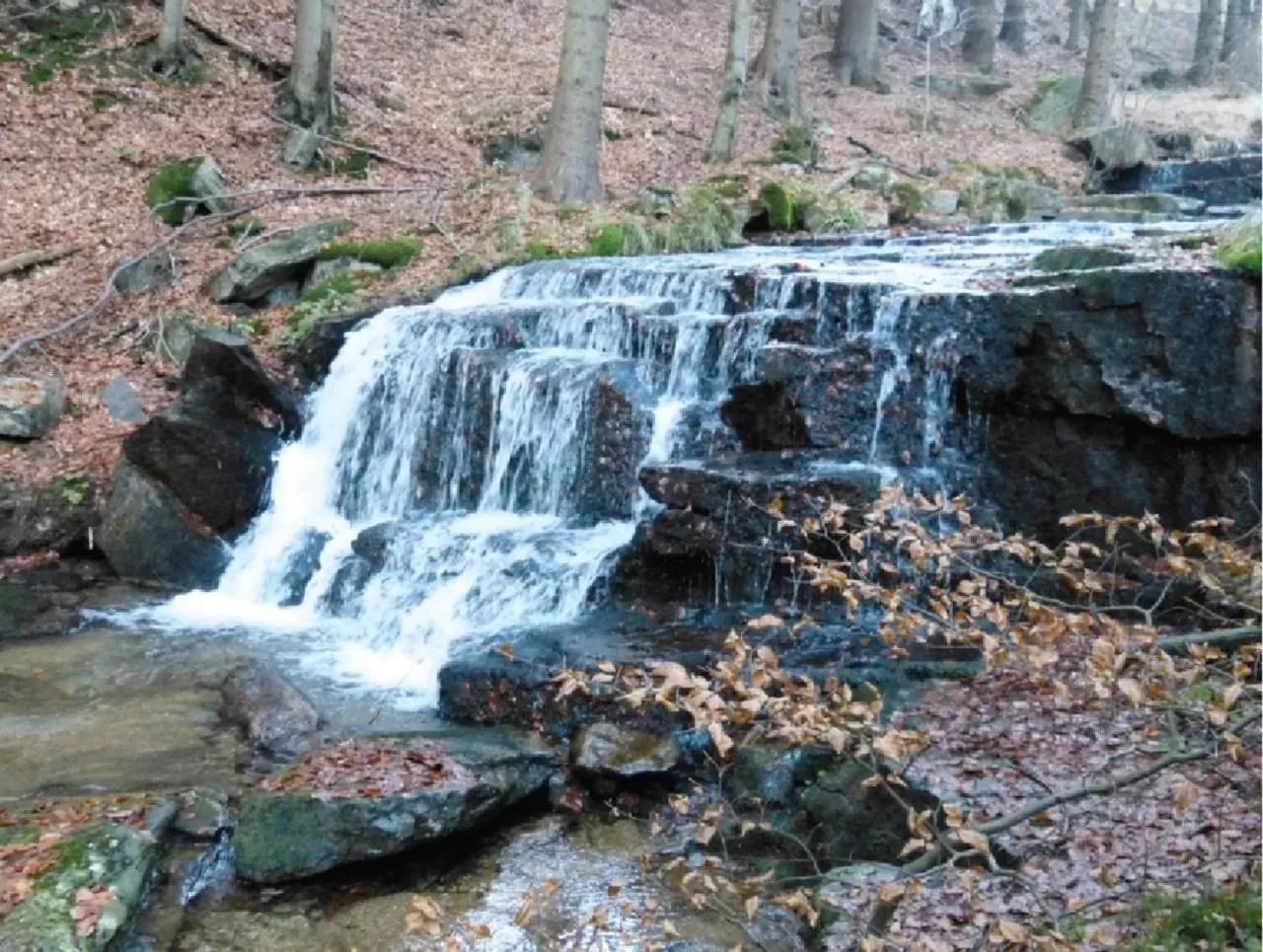 Nearby landmark in X-Park Františkov