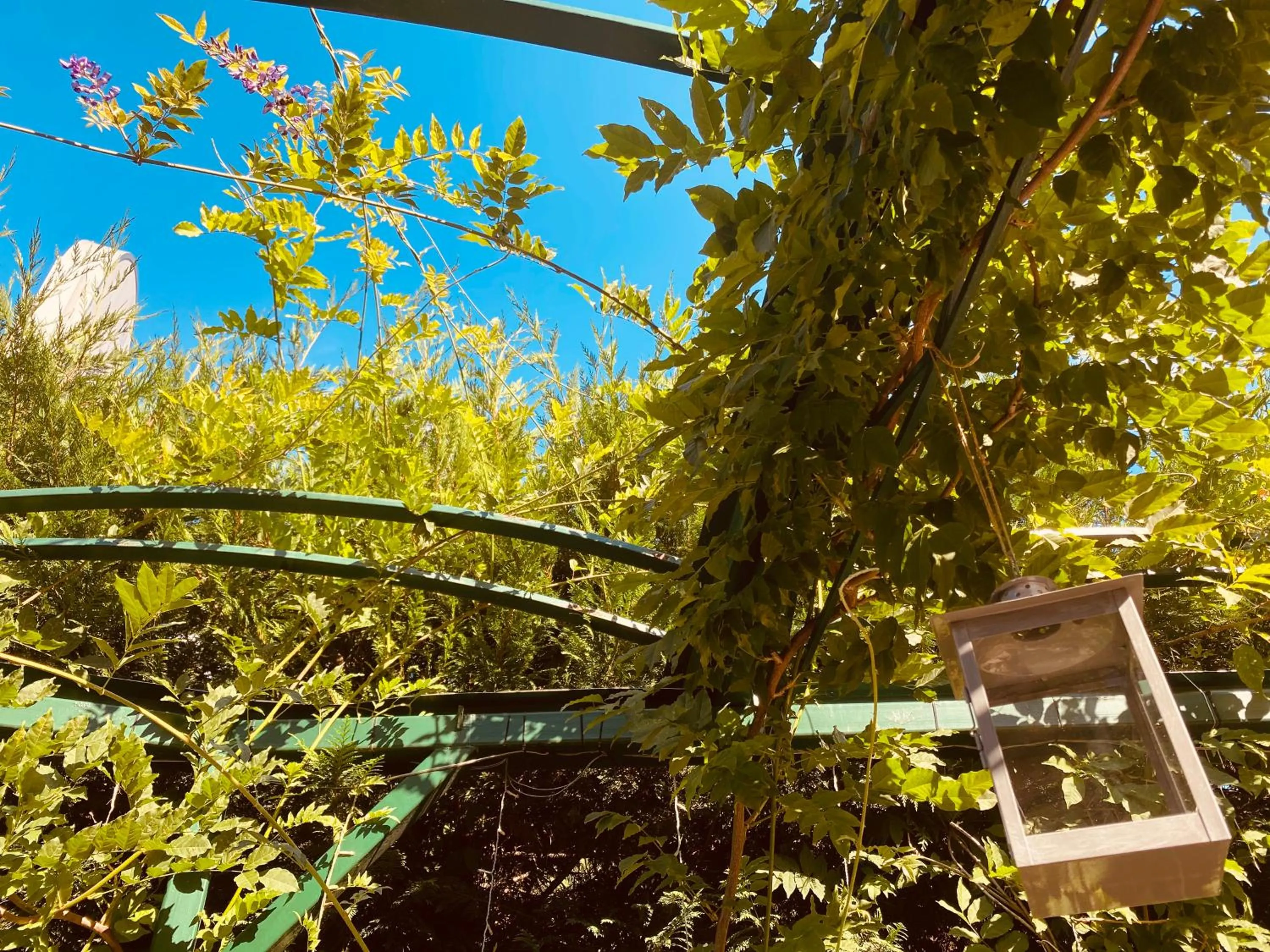 Garden in Impero Hotel Beauty & Spa - Bike Hotel