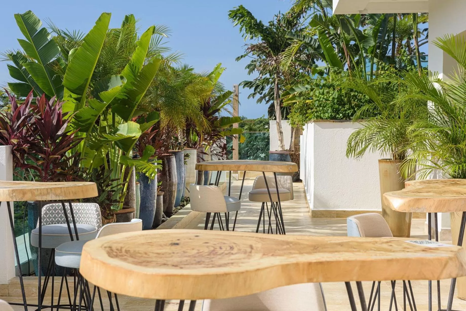 Day in Saman Boutique Hotel By Mint