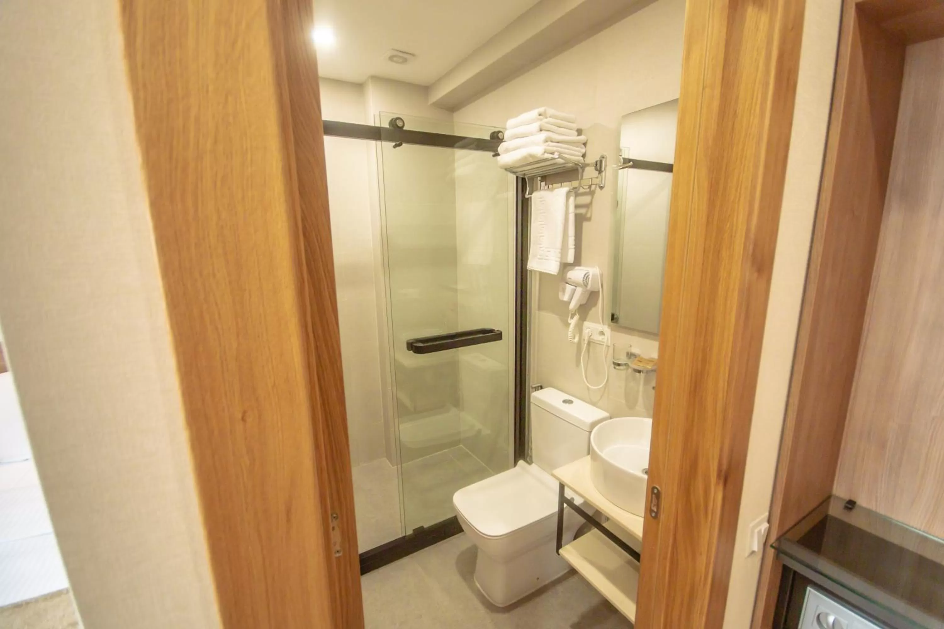 Shower, Bathroom in Hotel Banovani