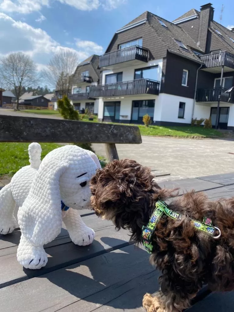 Ferienpark Winterberg