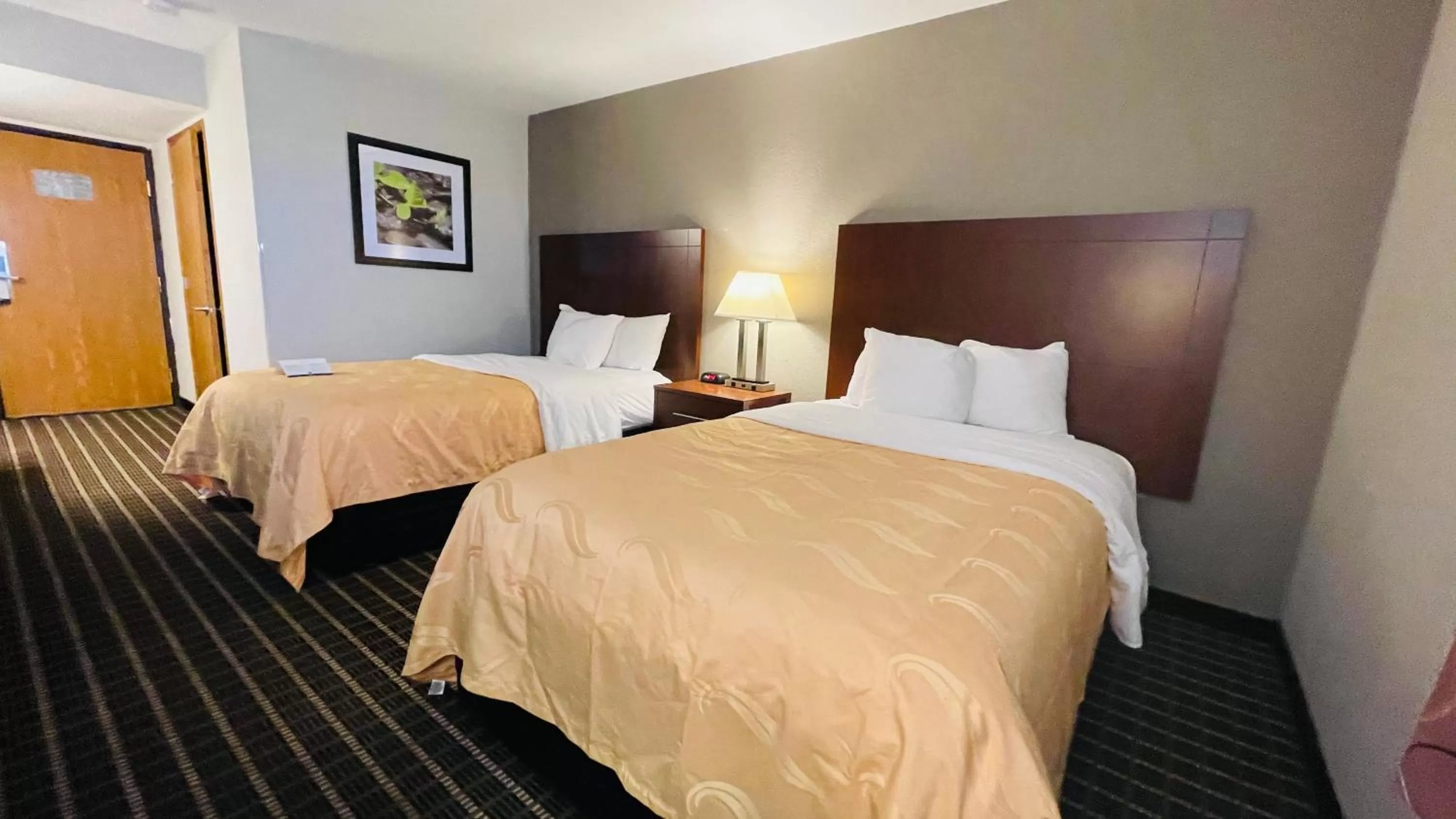 Bed in Quality Inn Madison West Near University Area