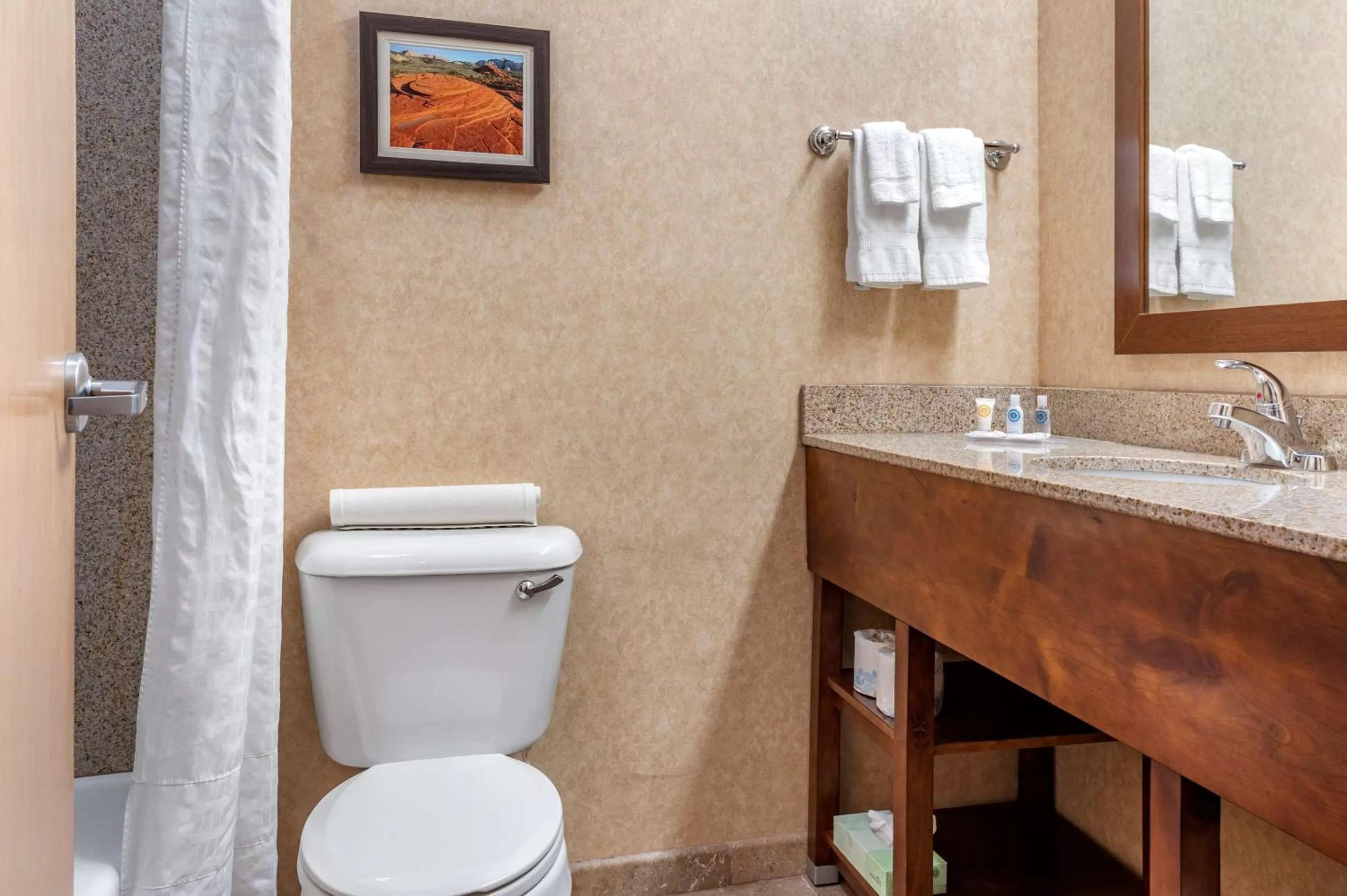 Bathroom in Comfort Inn at Convention Center Saint George