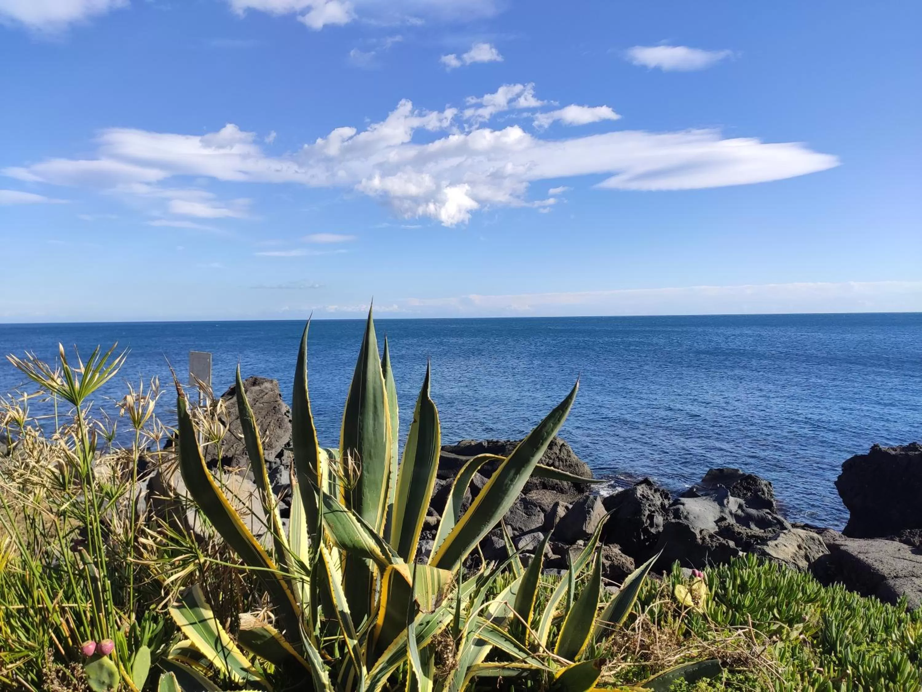 Nearby landmark in Villa delle Palme