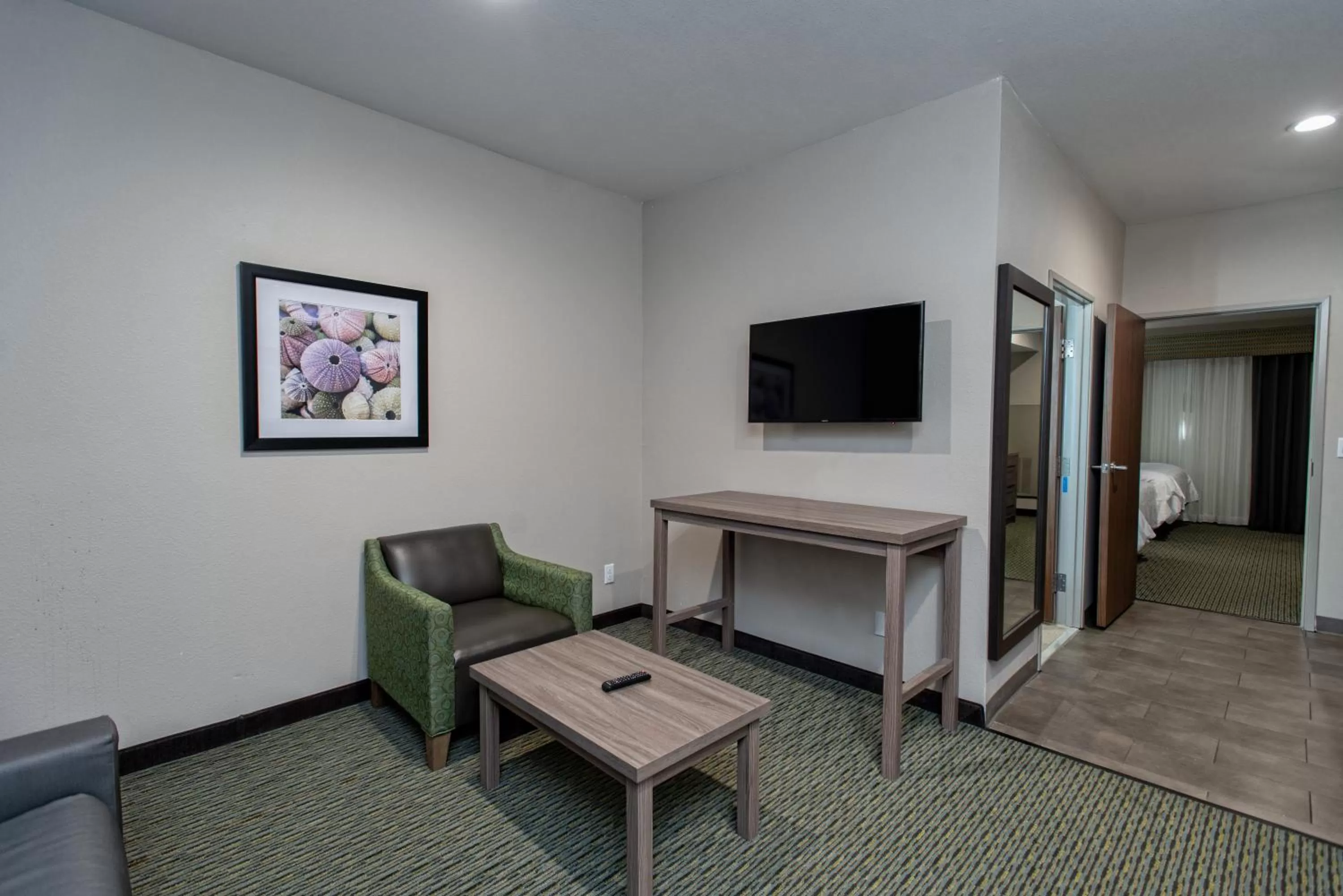 Photo of the whole room in Holiday Inn Express Hotel and Suites Port Aransas/Beach Area by IHG