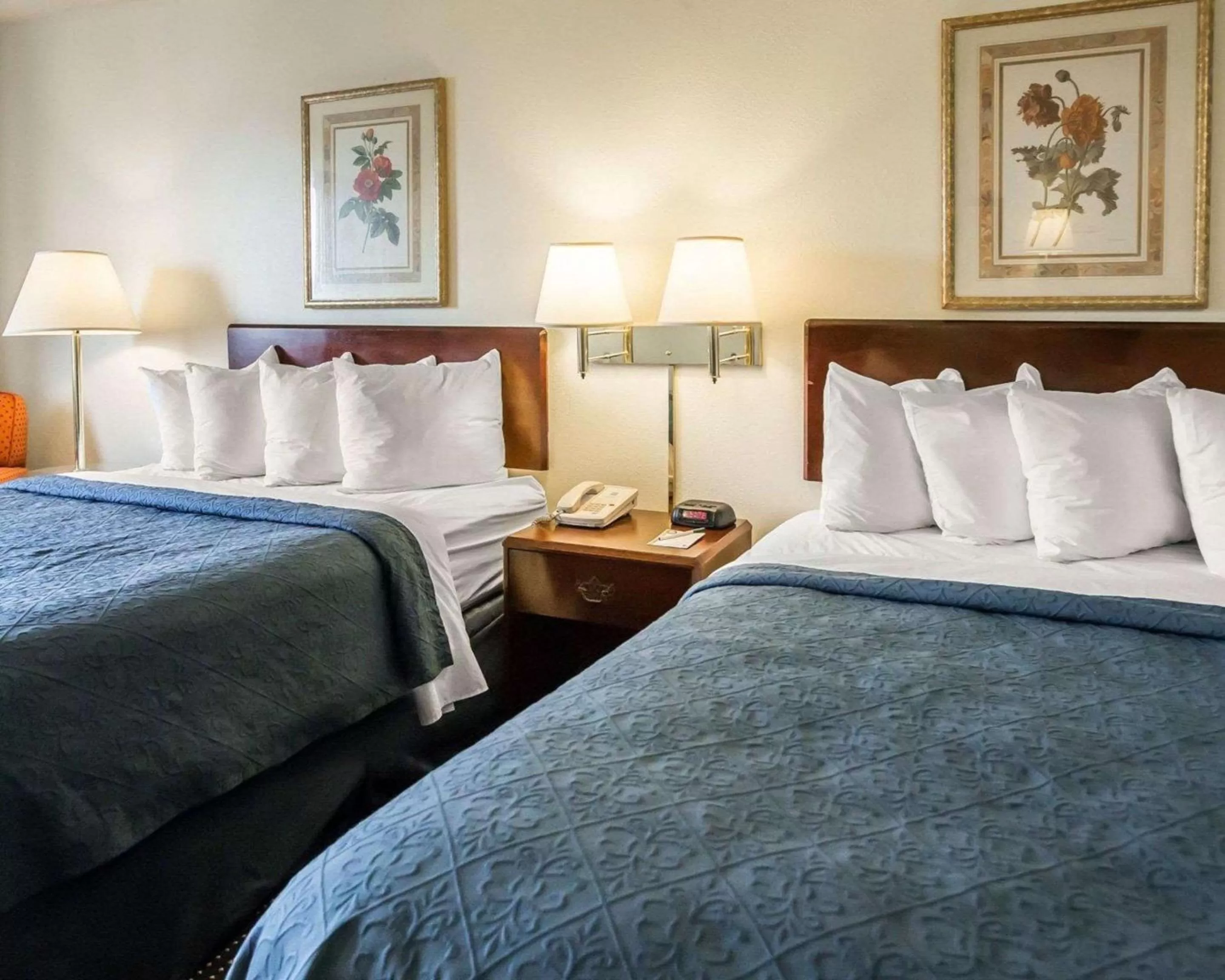 Photo of the whole room, Bed in Quality Inn Dundee