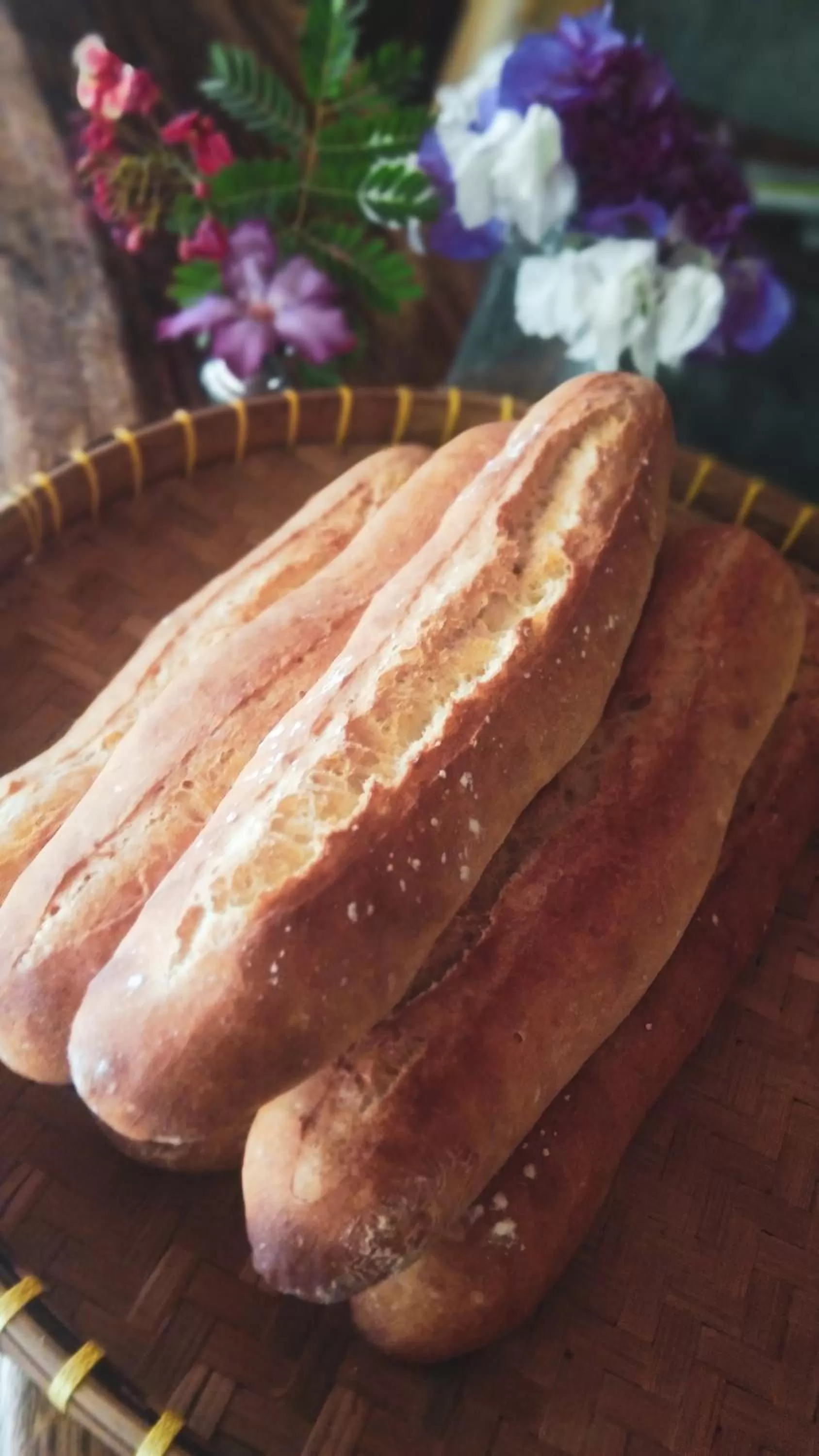 Restaurant/places to eat in Café des Arts Gili Air