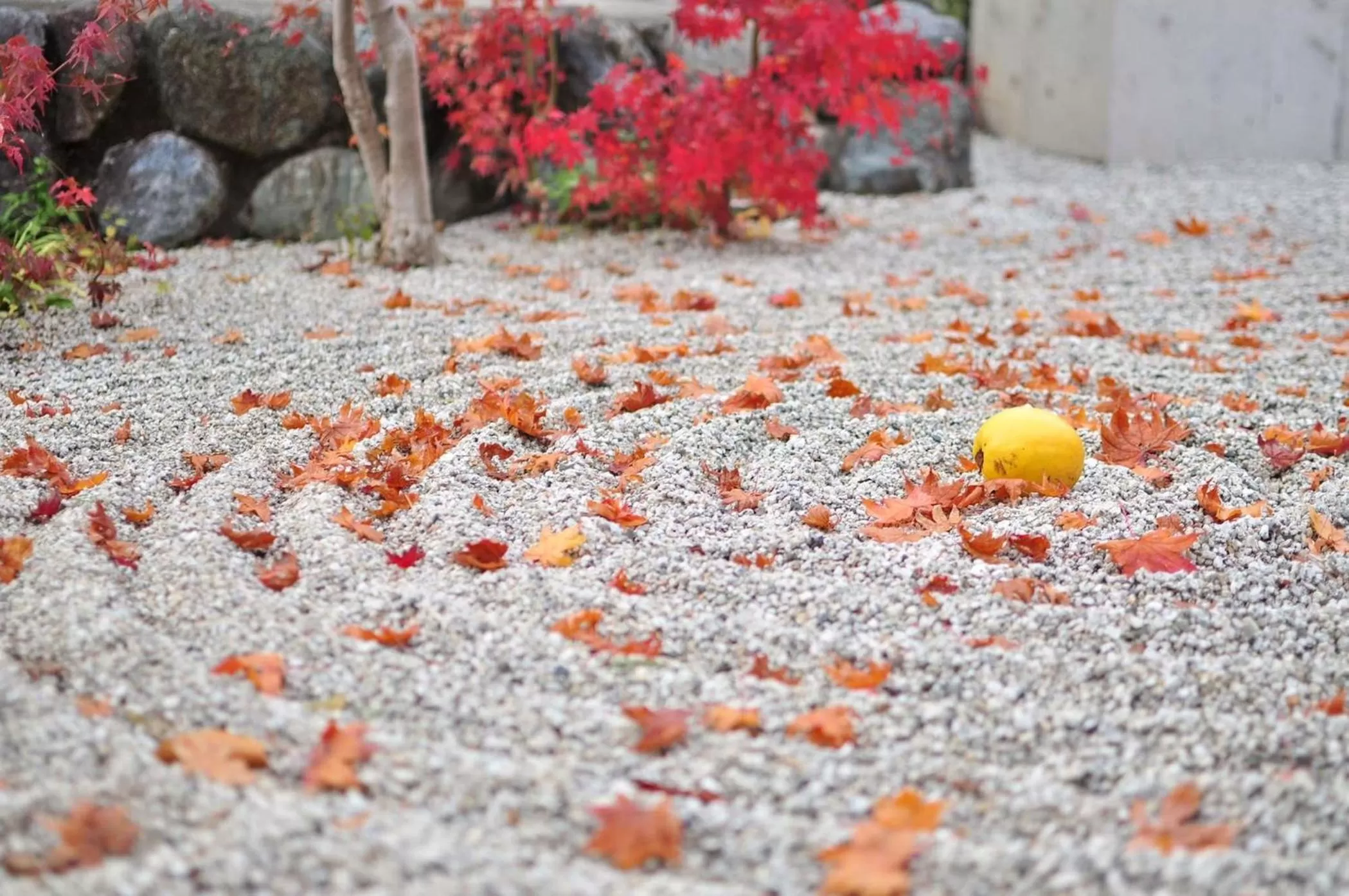 Nearby landmark in Tokyu Stay Kyoto Sanjo-Karasuma