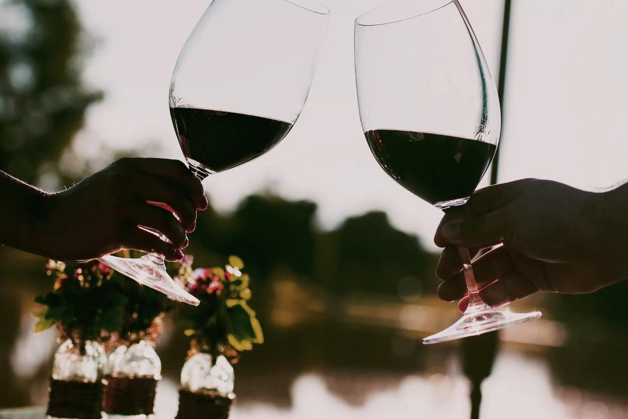 Alcoholic drinks in Hotel Resort e Golfe Clube dos 500