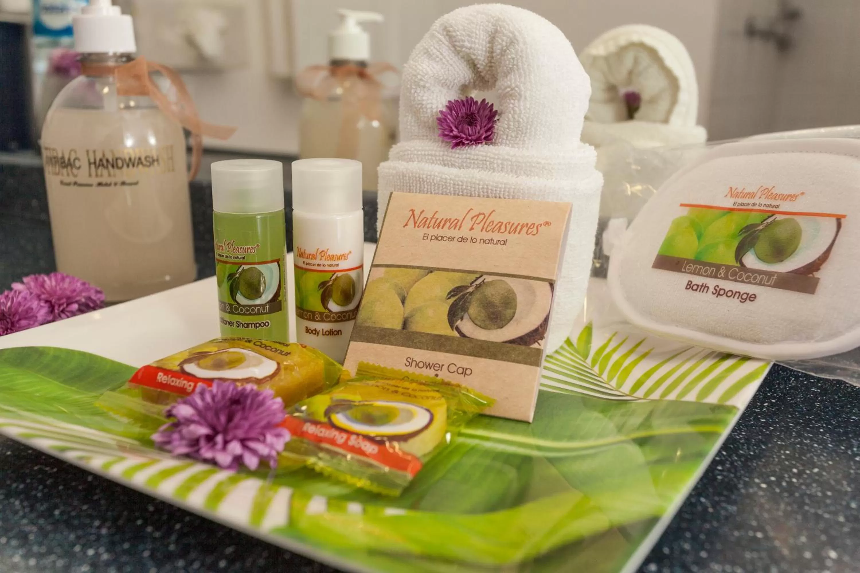 Bathroom in Coral Princess Hotel & Dive Resort