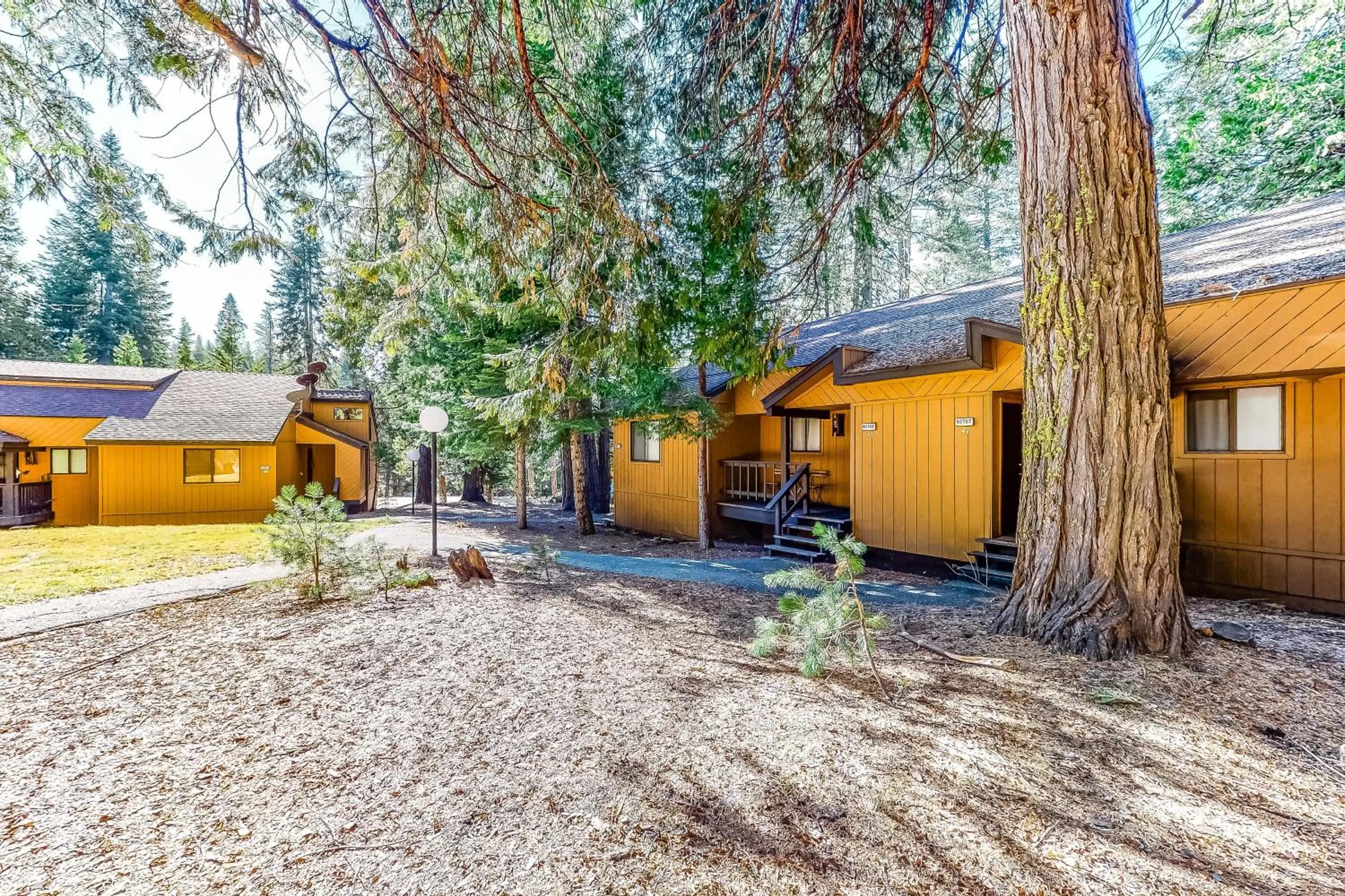 Property Building in The Lake House