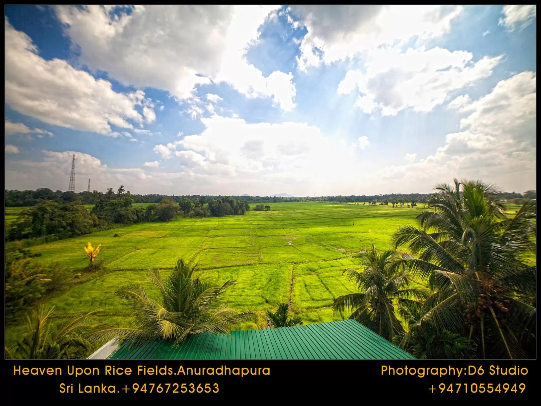 View (from property/room) in Heaven Upon Rice Fields
