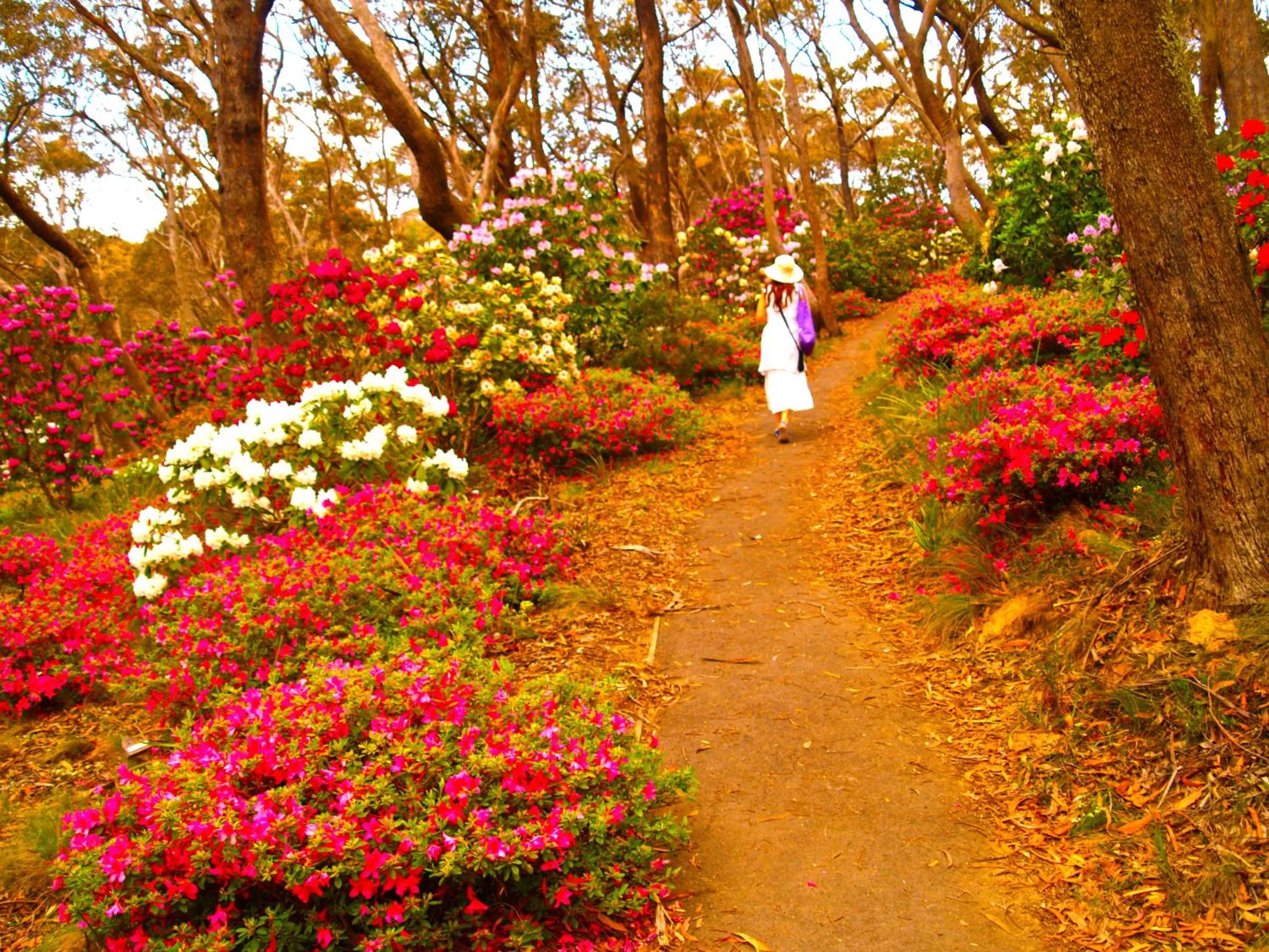 Spring in Gardners Inn Hotel