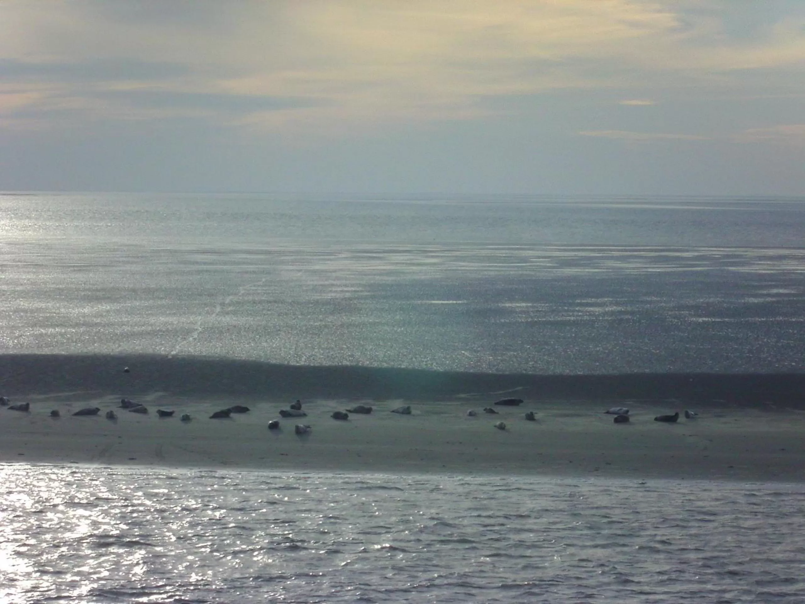 Natural landscape in Leezdorfer Hof