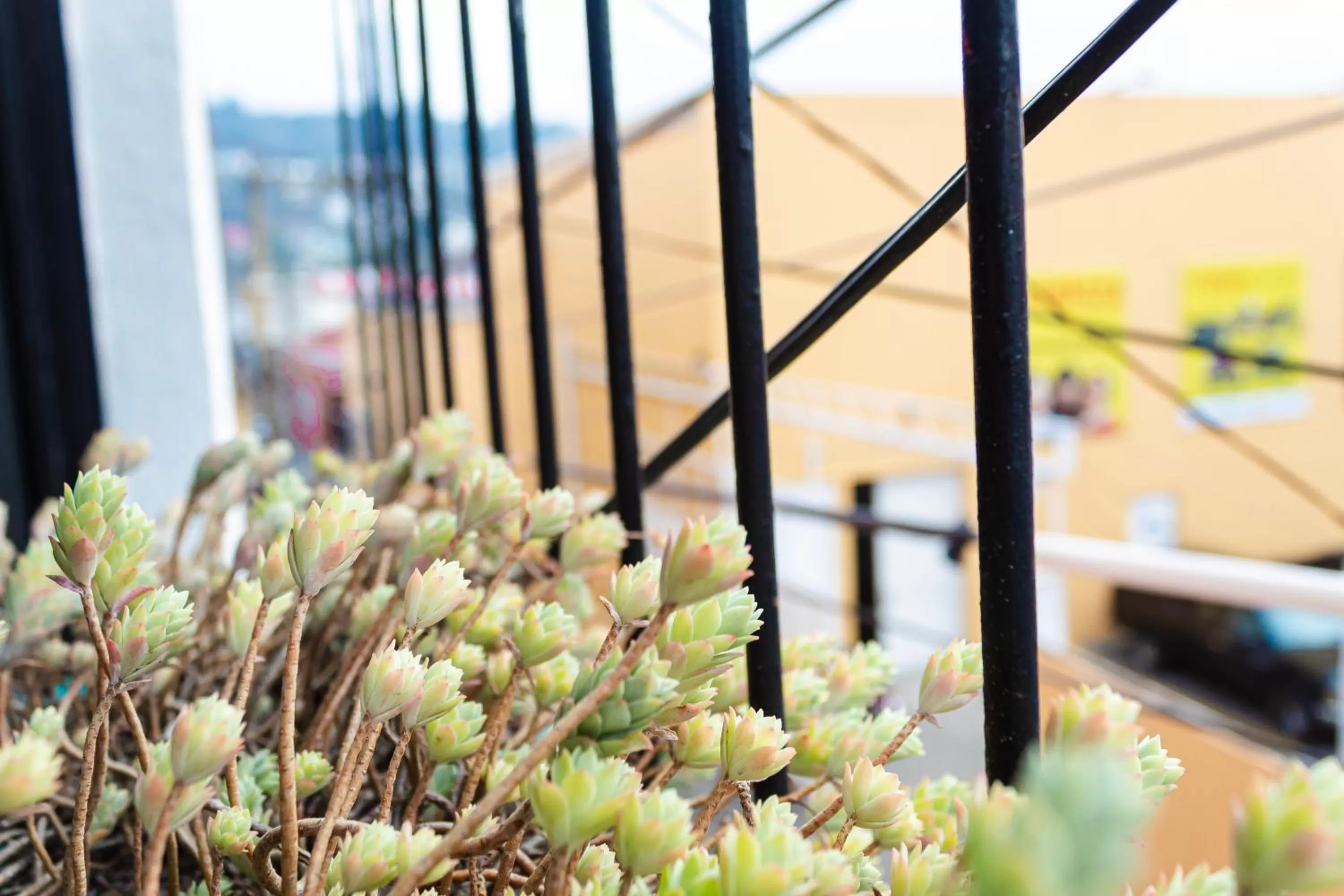 Balcony/Terrace in Casa Elizabeth