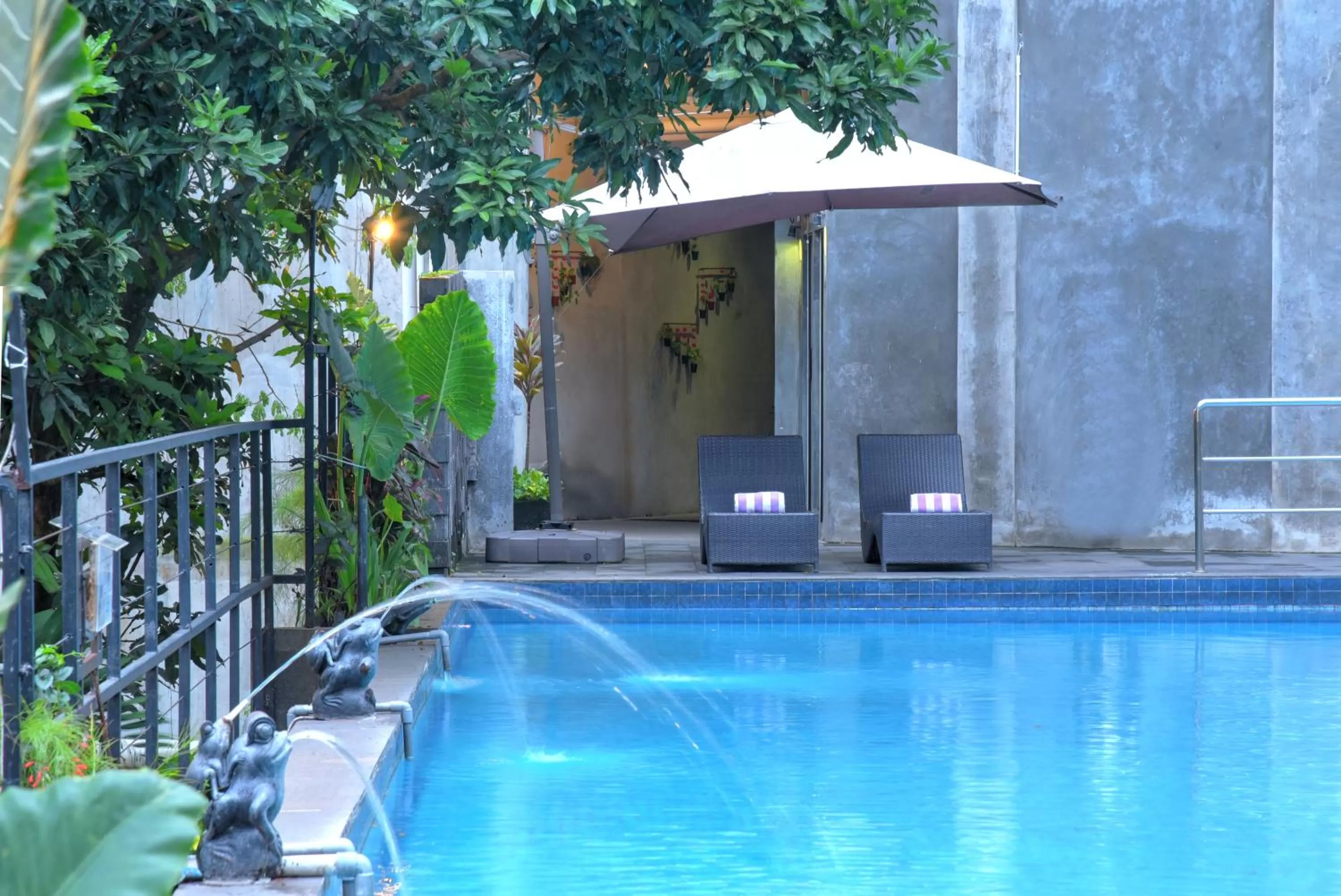 Swimming pool in Oak Tree Emerald Hotel & Coventions Semarang