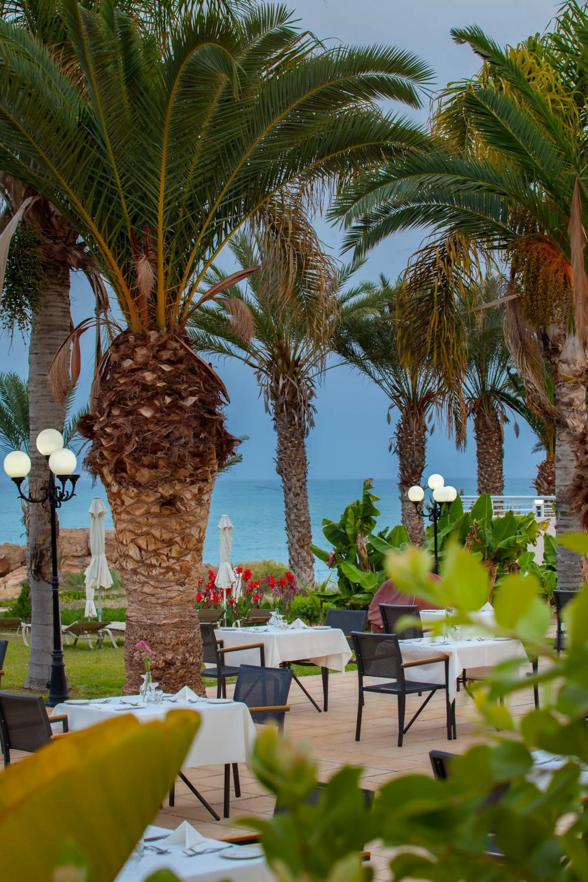 Dinner in Queens Bay Hotel