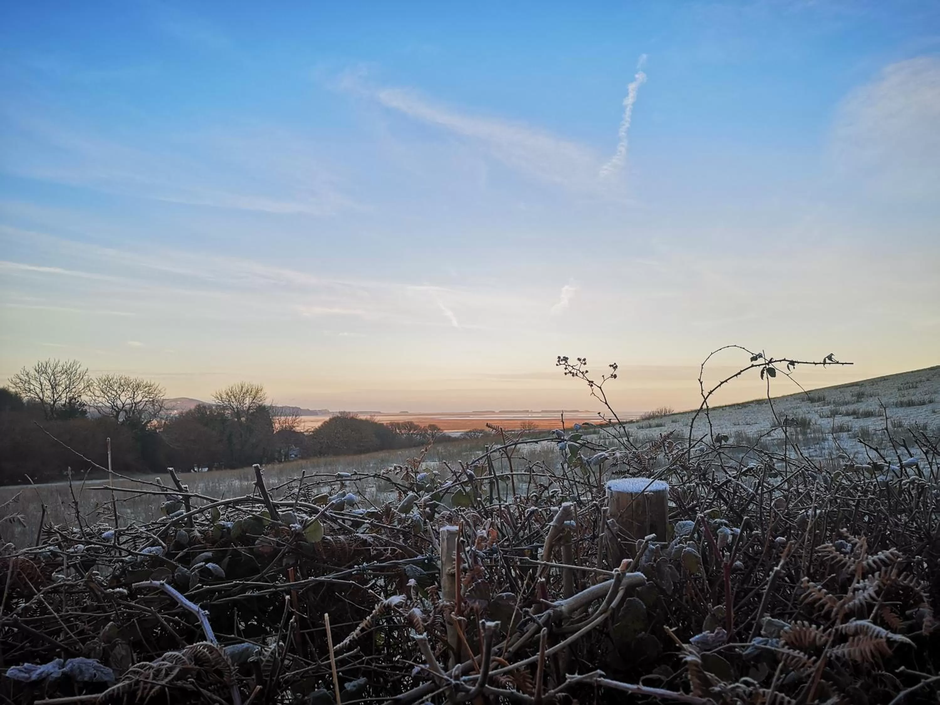 Natural landscape in Y Cuddfan Gower