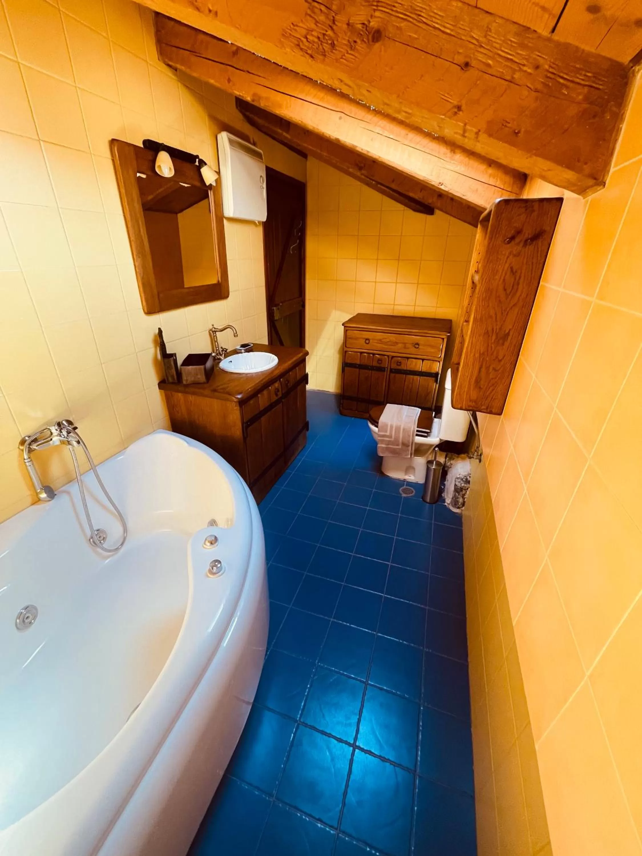 Bathroom in Parnassos Snow Hill Chalet