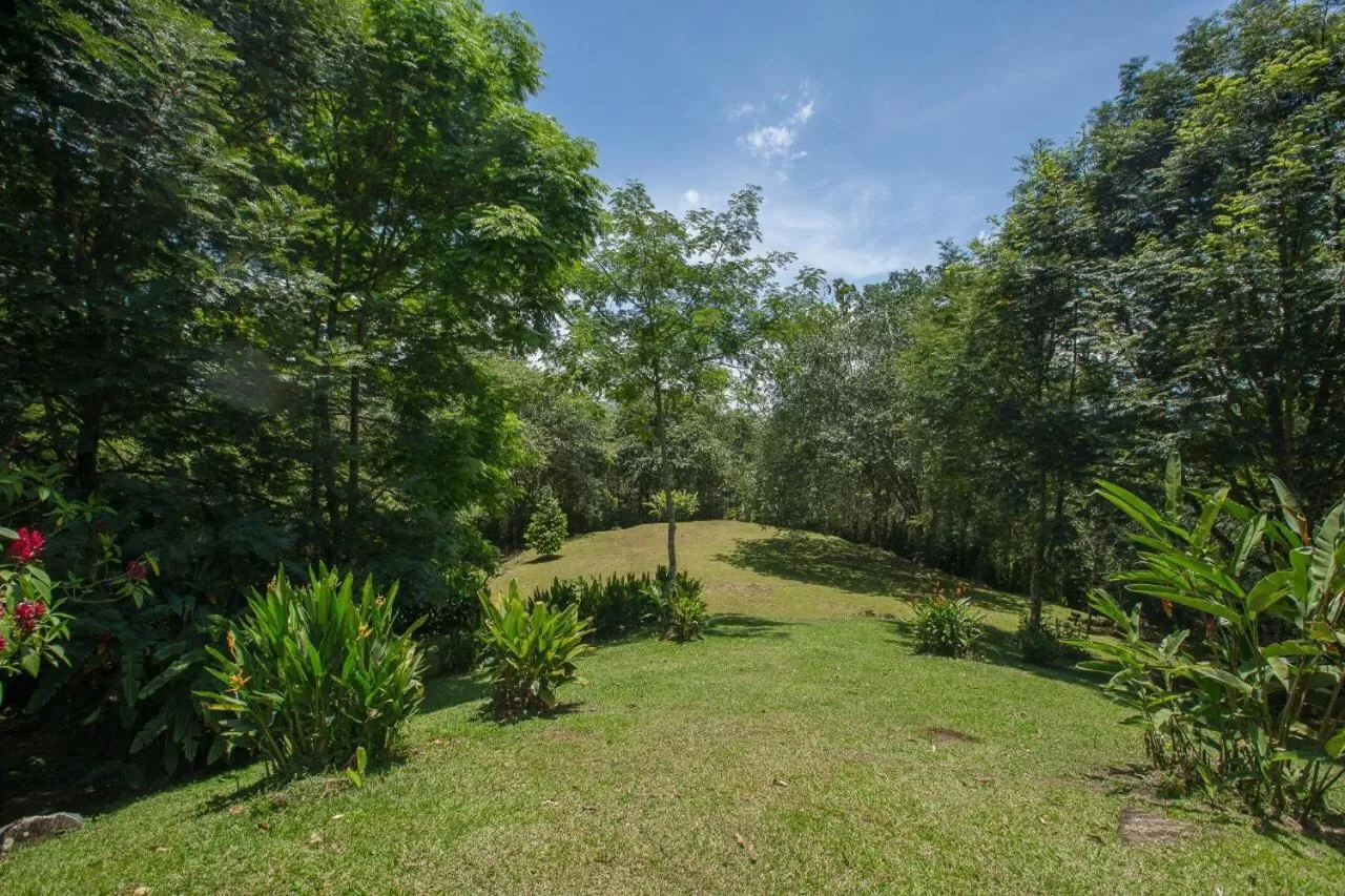 Garden in Hospedaje La Naciente