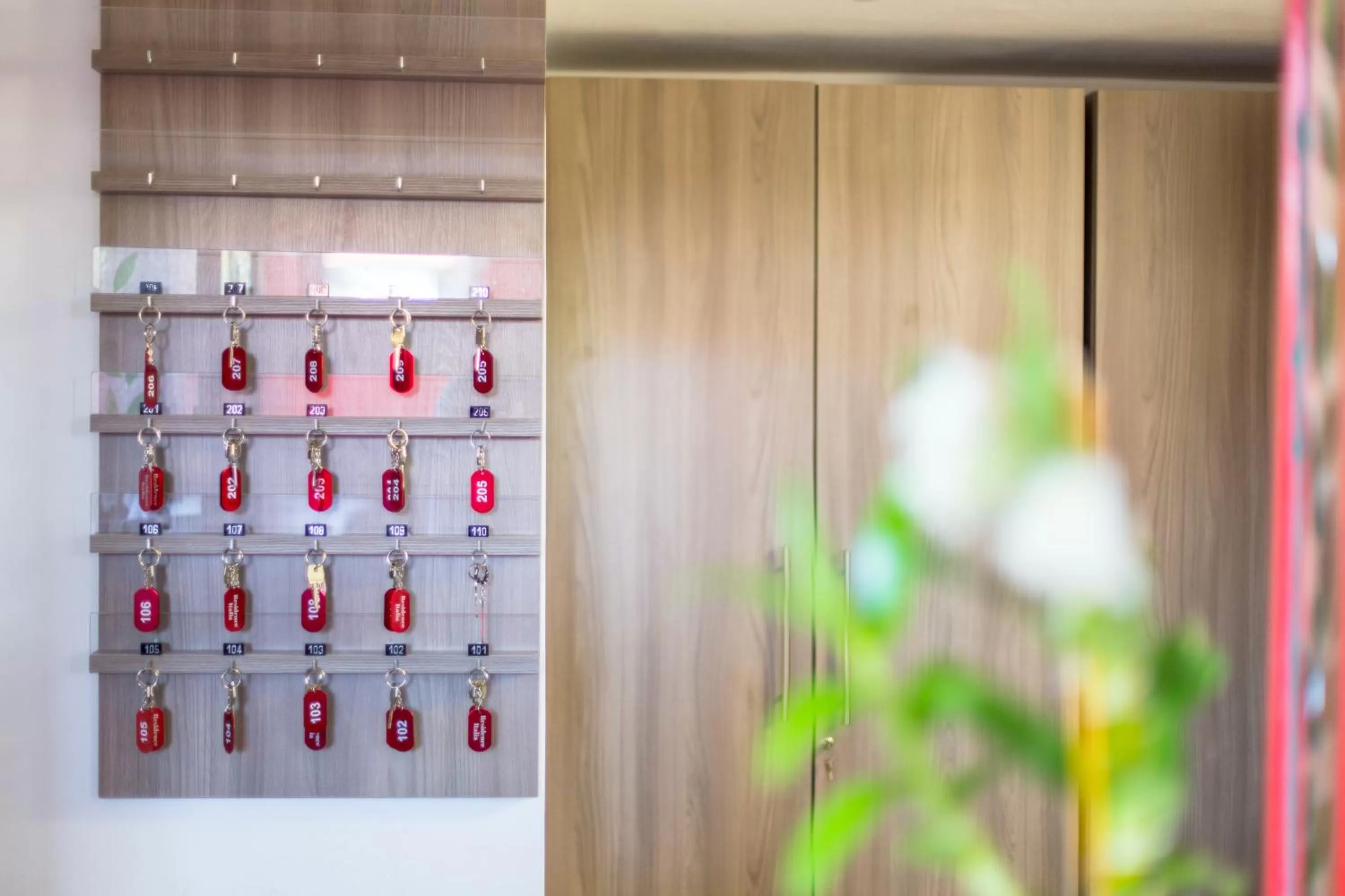 Hotel italia dormelletto