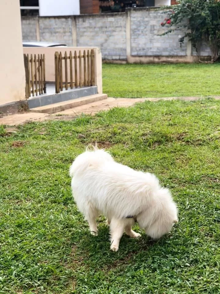 Property building in POUSADA CHARLOTTE