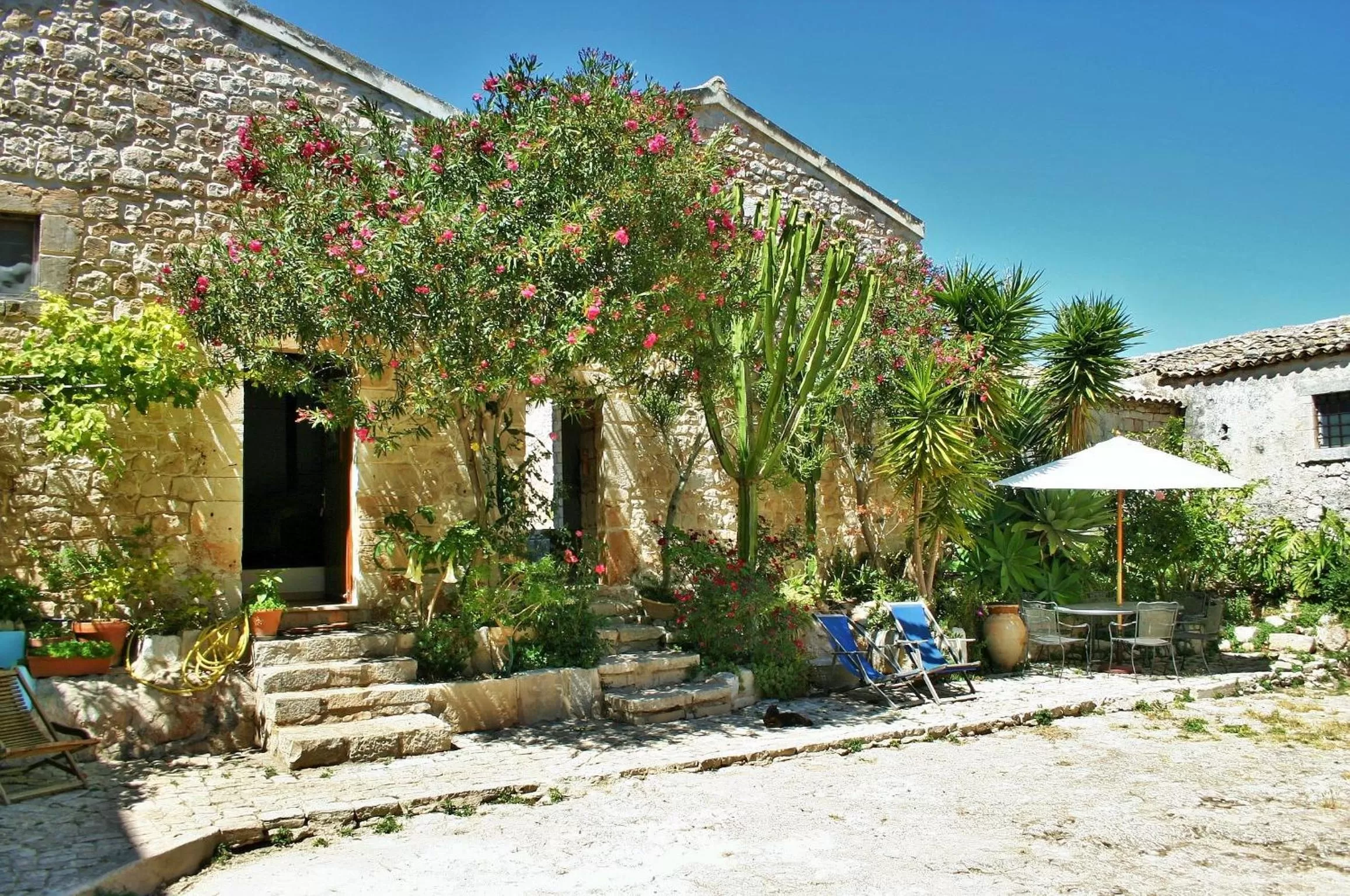 BBQ facilities in Vinciucci