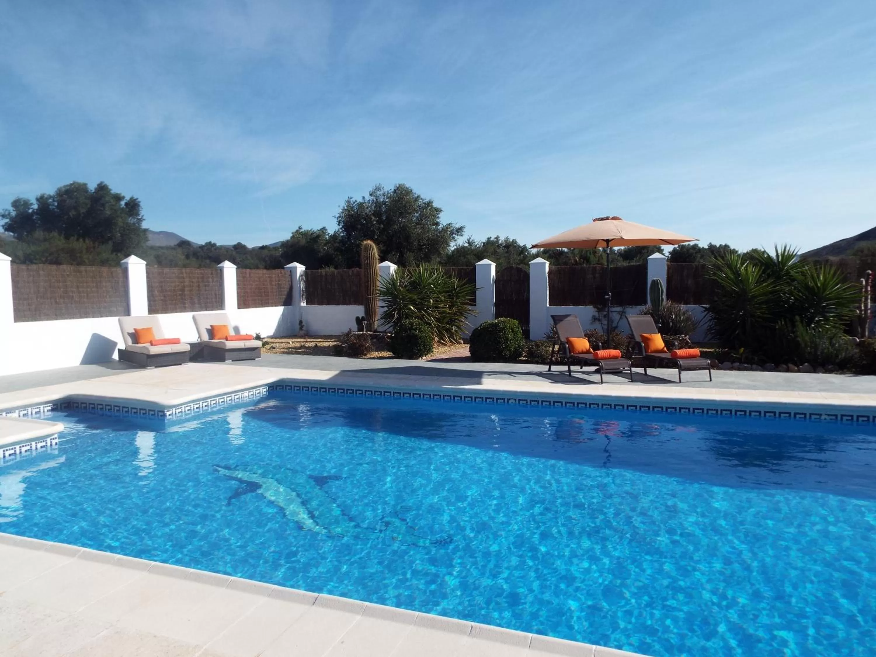 Garden view, Swimming Pool in Cortijo Esperanza