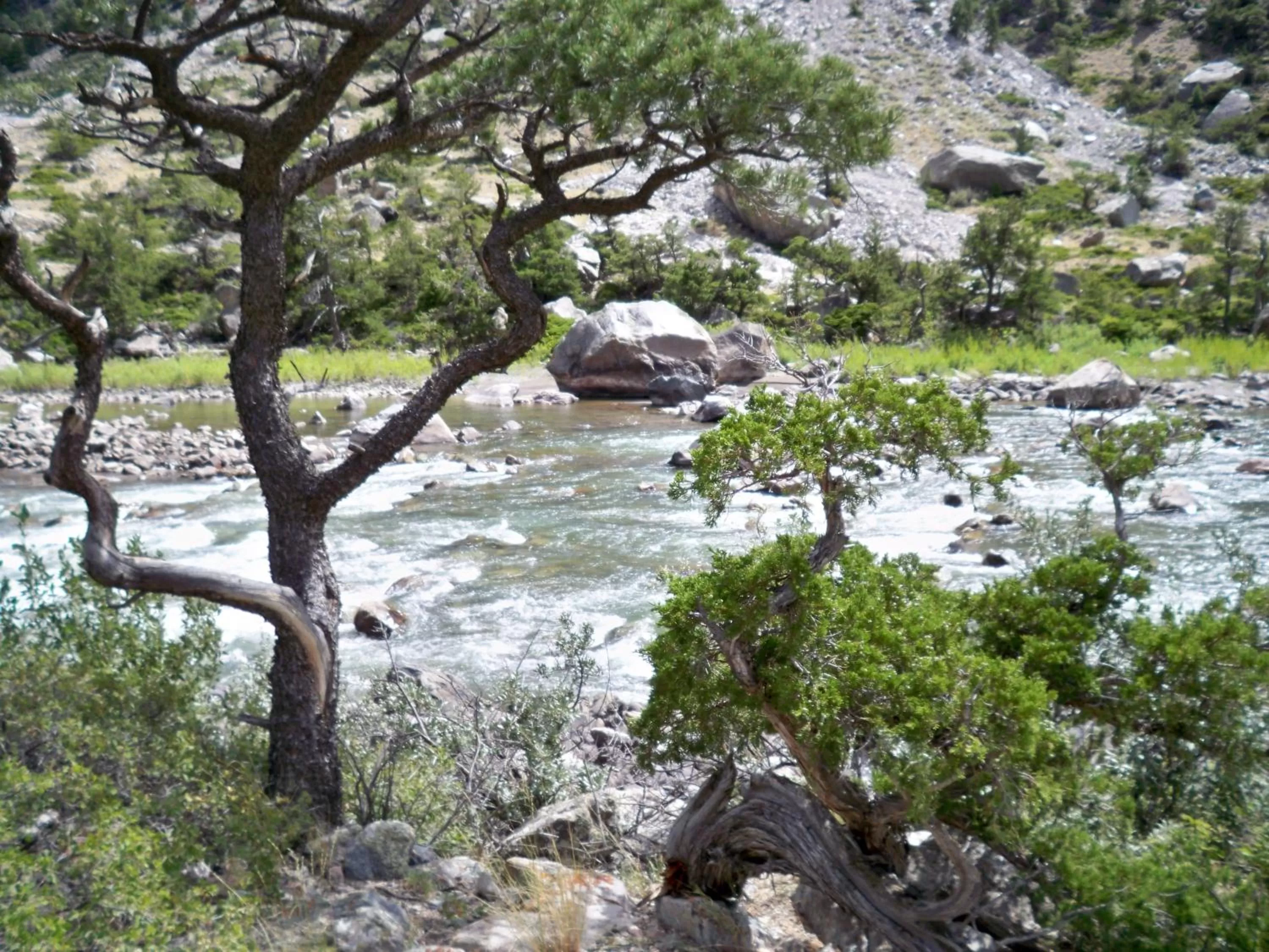 Area and facilities in Super 8 by Wyndham Cody