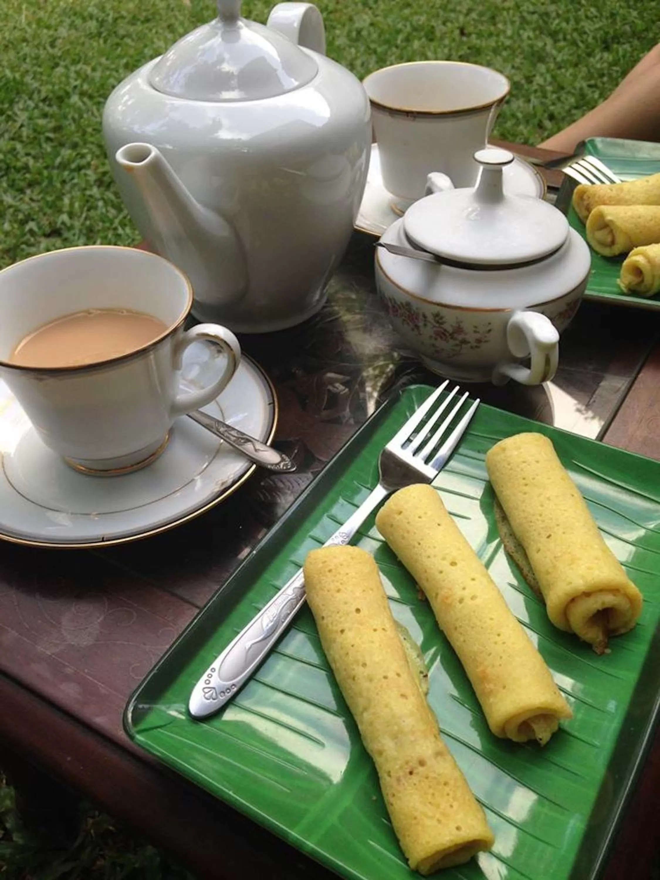 Day in Villa Taprobane