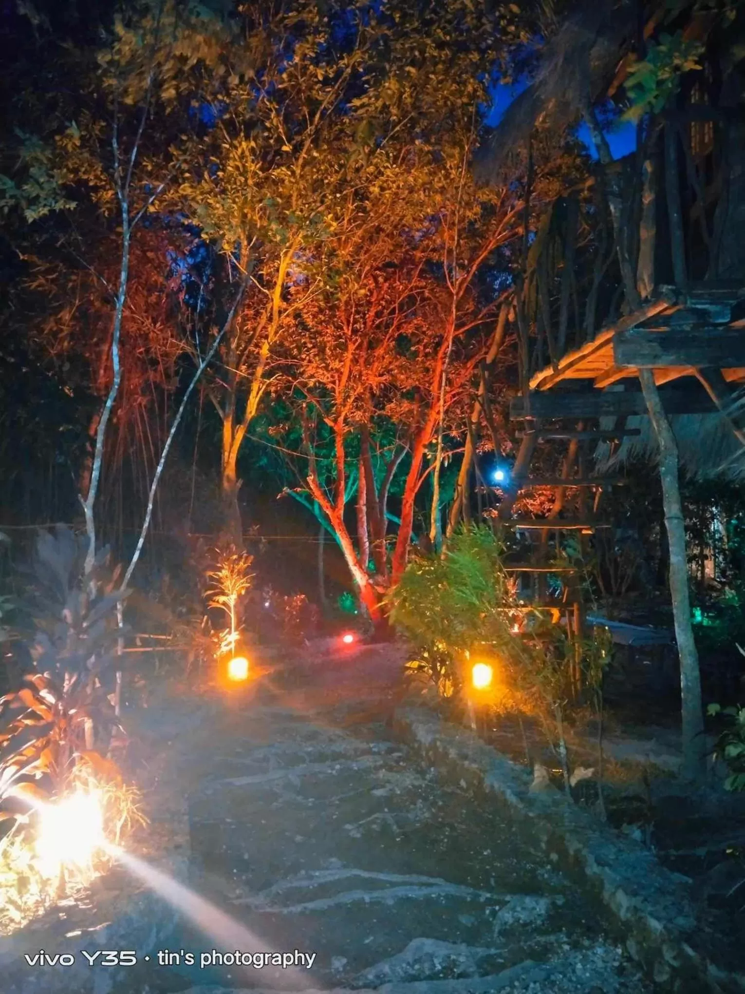 Sanctuaria Treehouses Busuanga