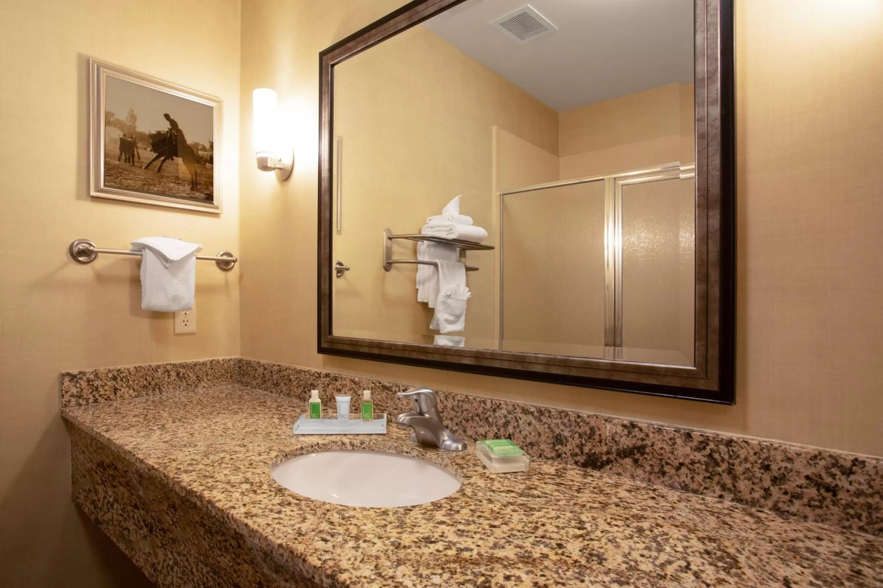 Bathroom in Holiday Inn Laramie by IHG