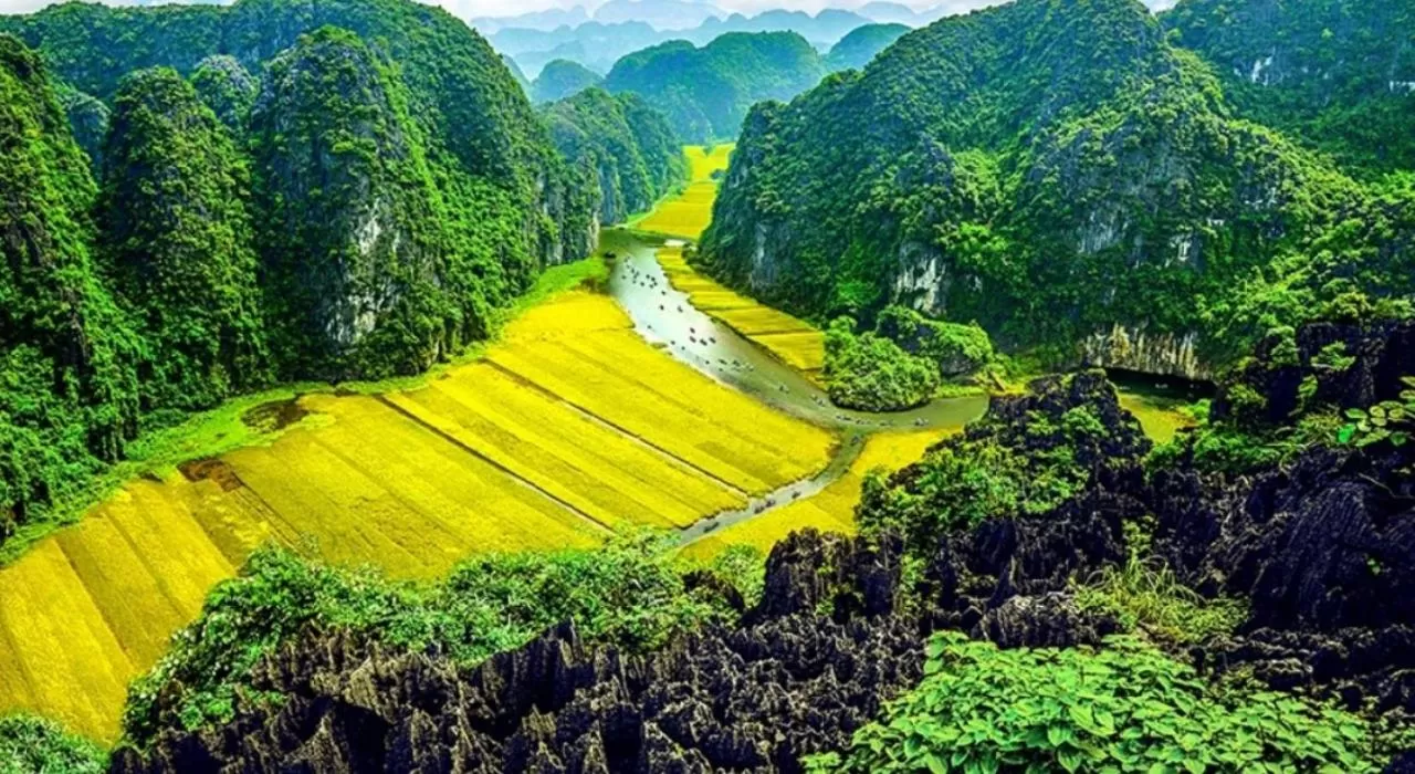 Natural landscape, Bird's-eye View in Green Space Homestay