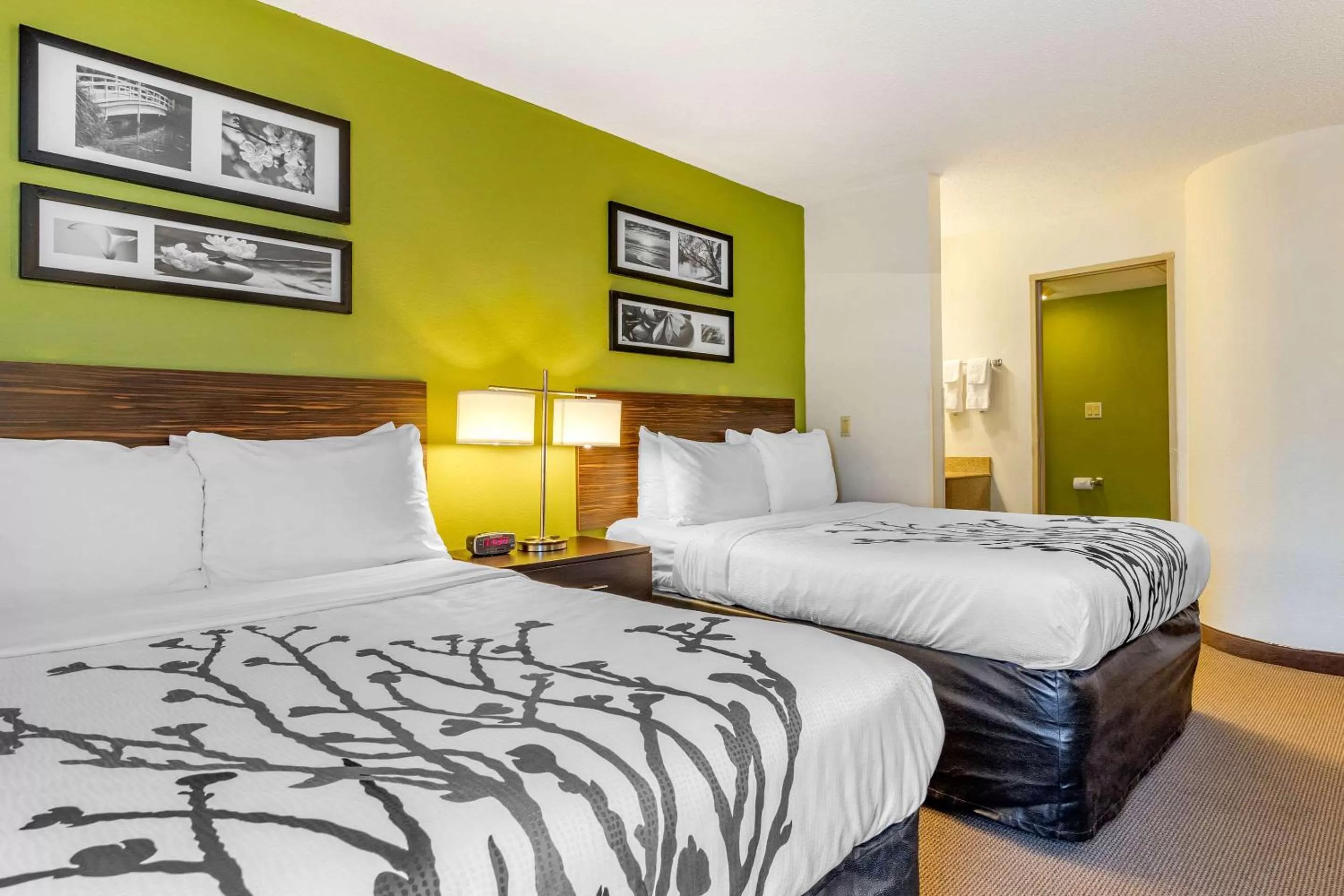 Photo of the whole room, Bed in Sleep Inn I-95 North Savannah