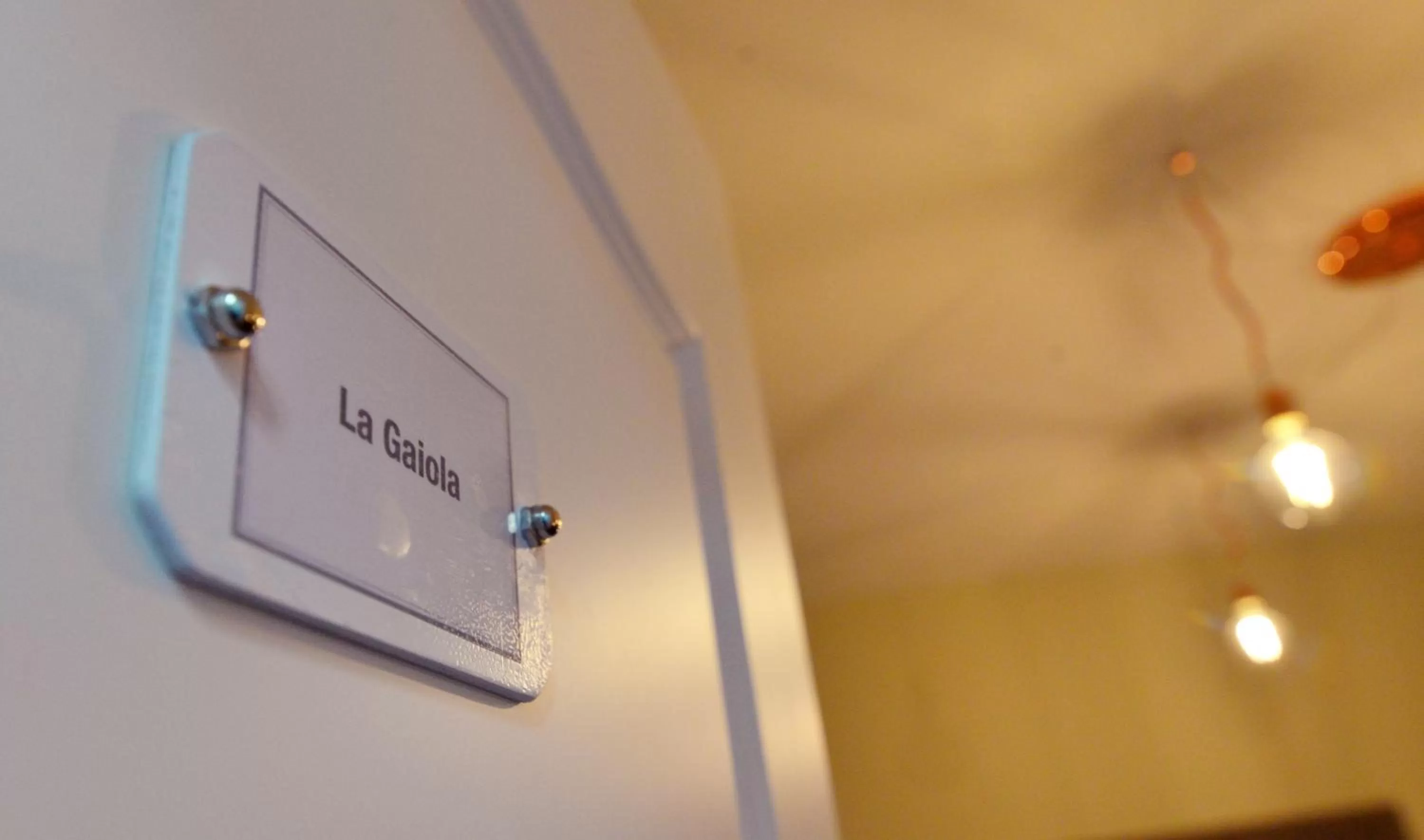 Decorative detail in Chiaia Roof