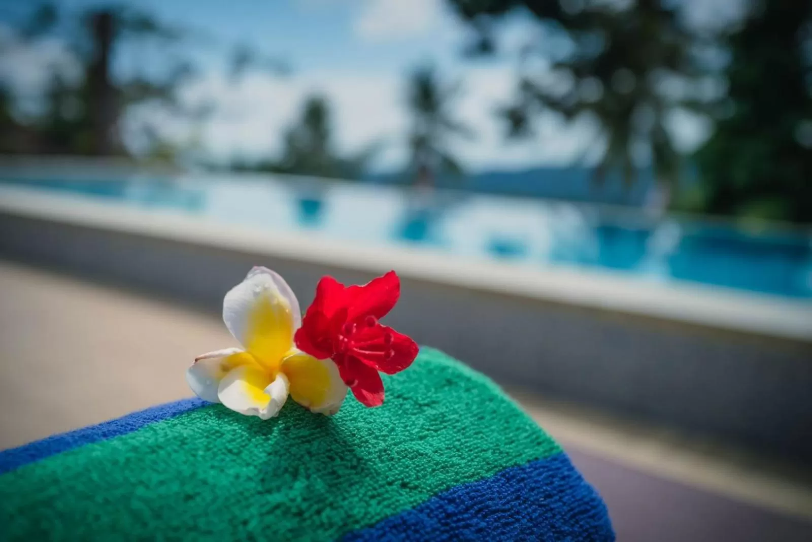 Pool view in VILLA IPSA