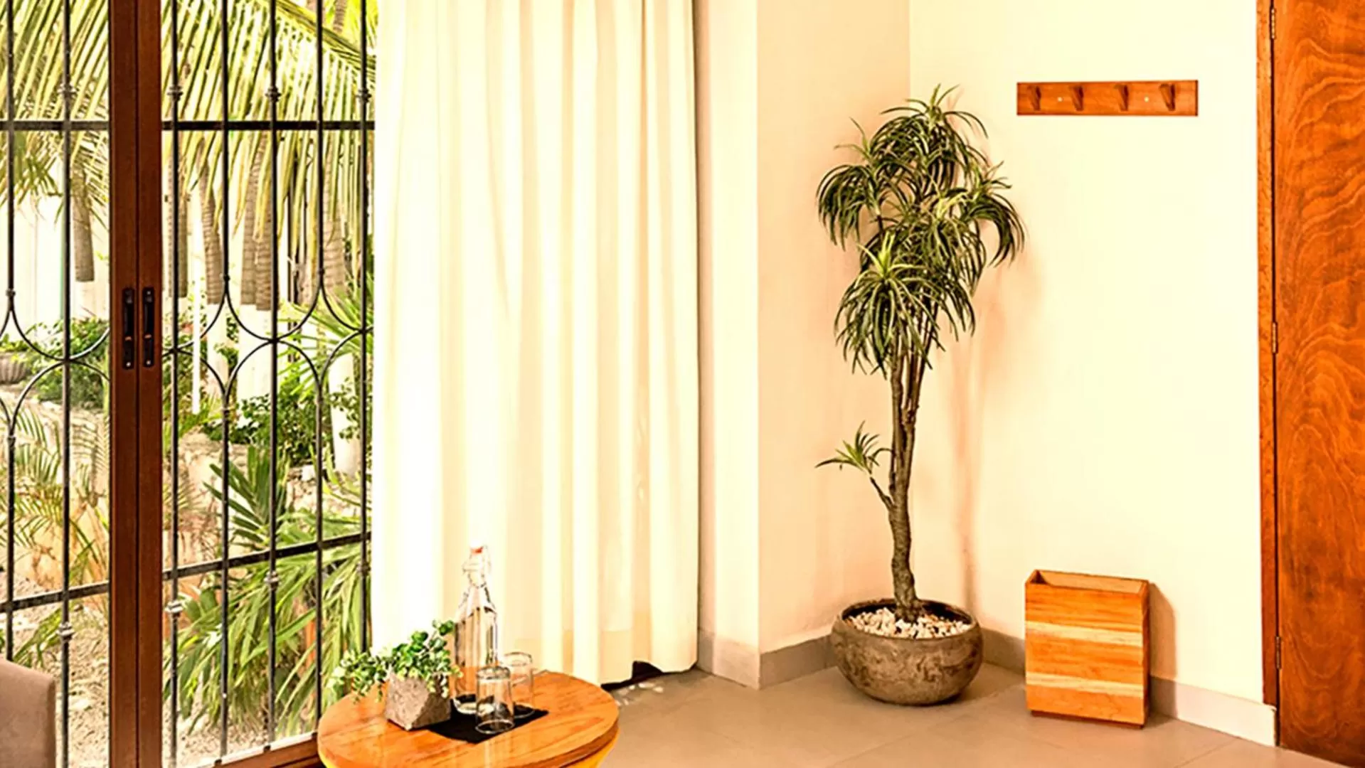 View (from property/room) in Mezcal Hotel