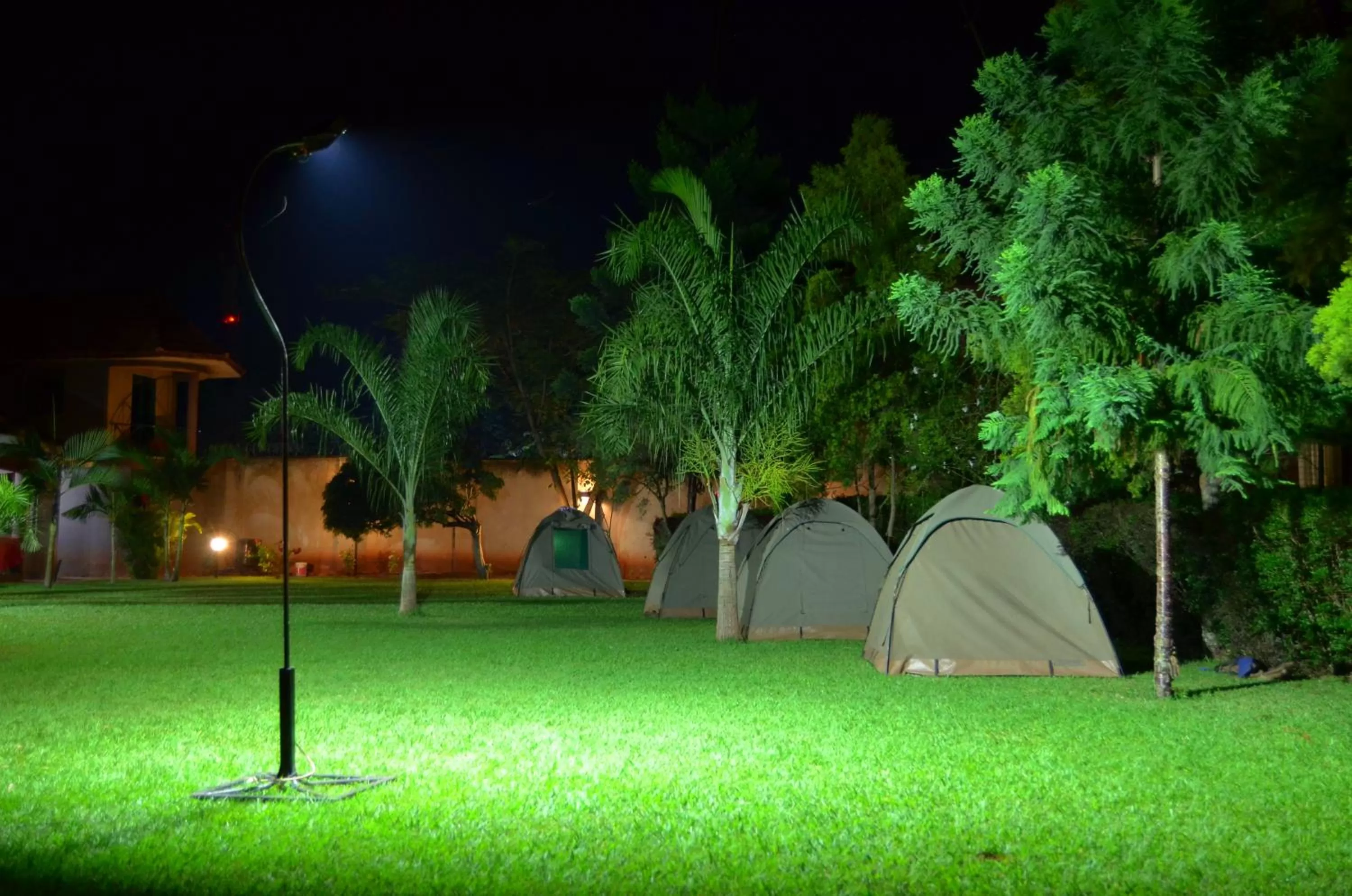 Natural landscape in Nile Village Hotel & Spa