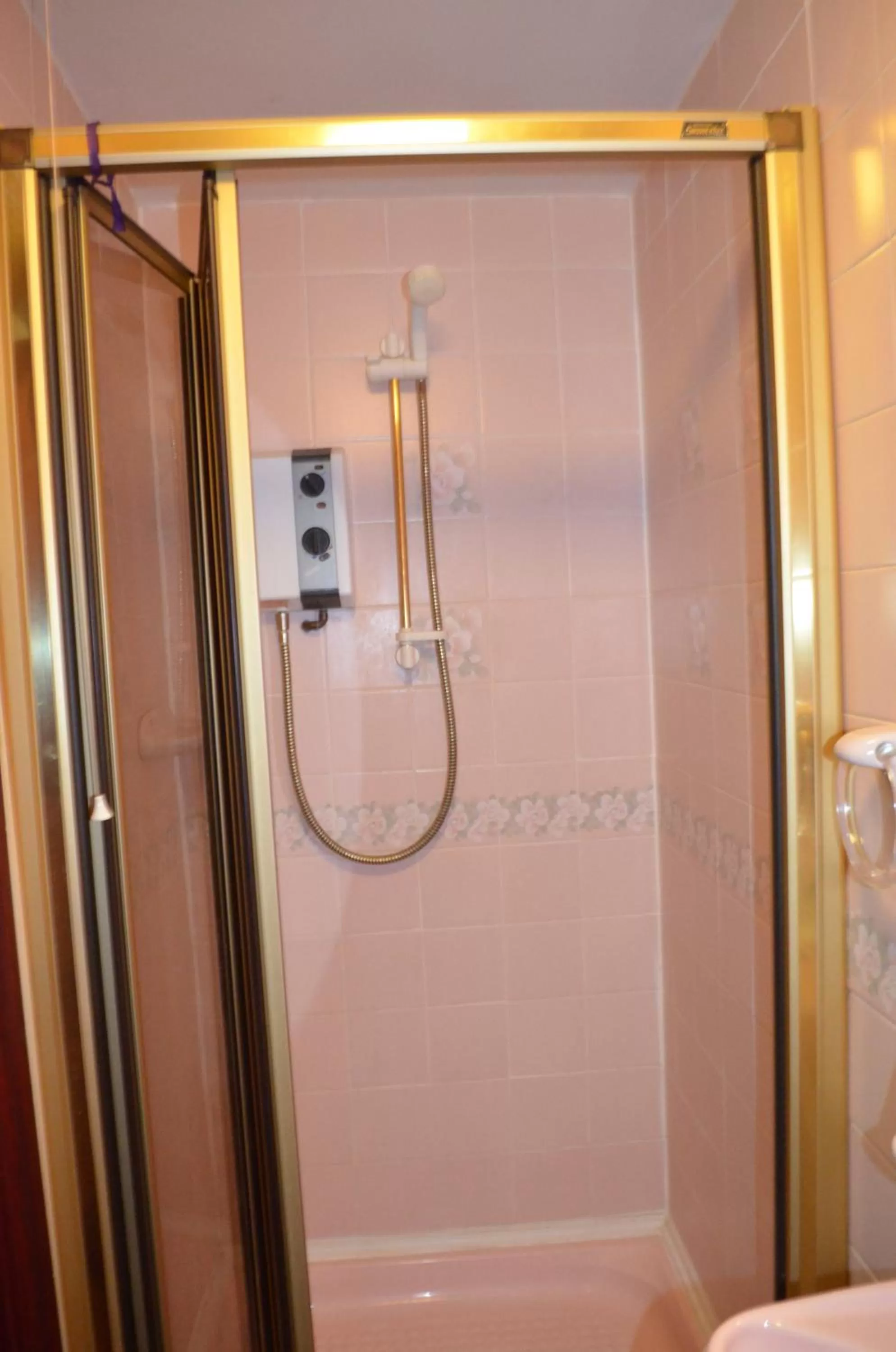 Shower in Lyndhurst Hotel