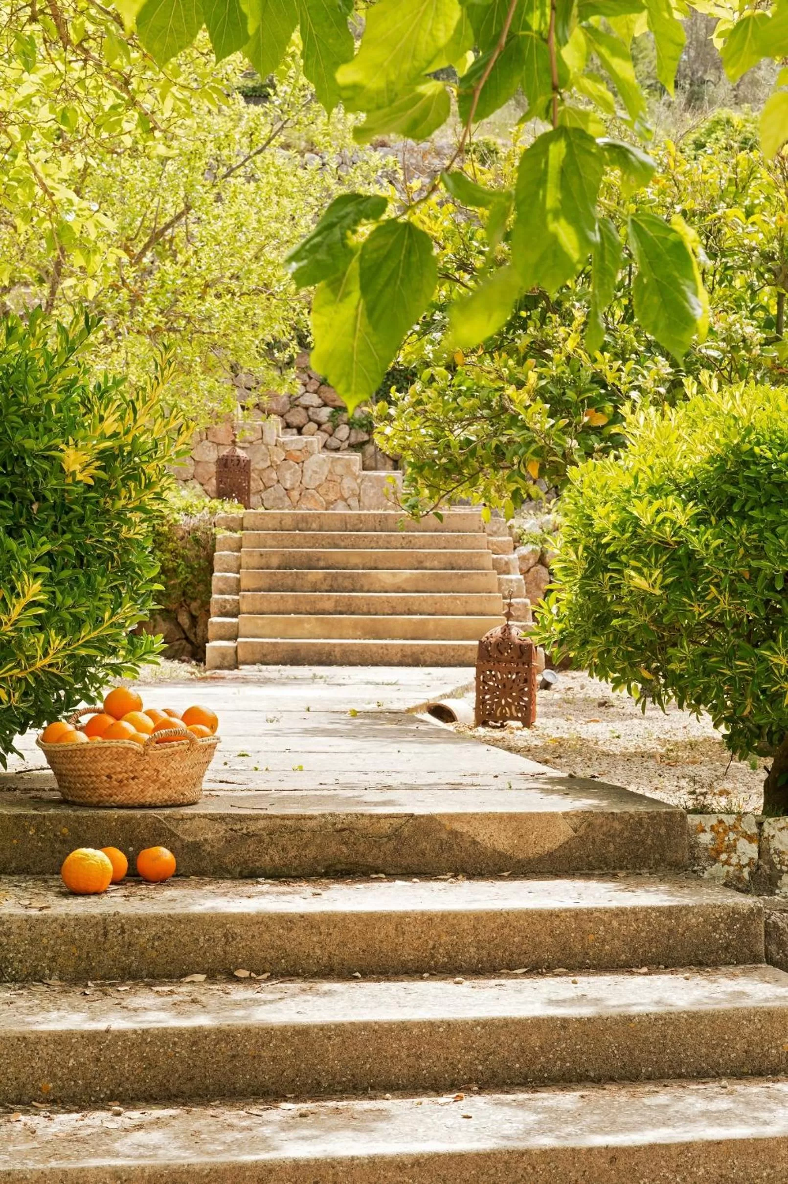 Day in Mirabó de Valldemossa